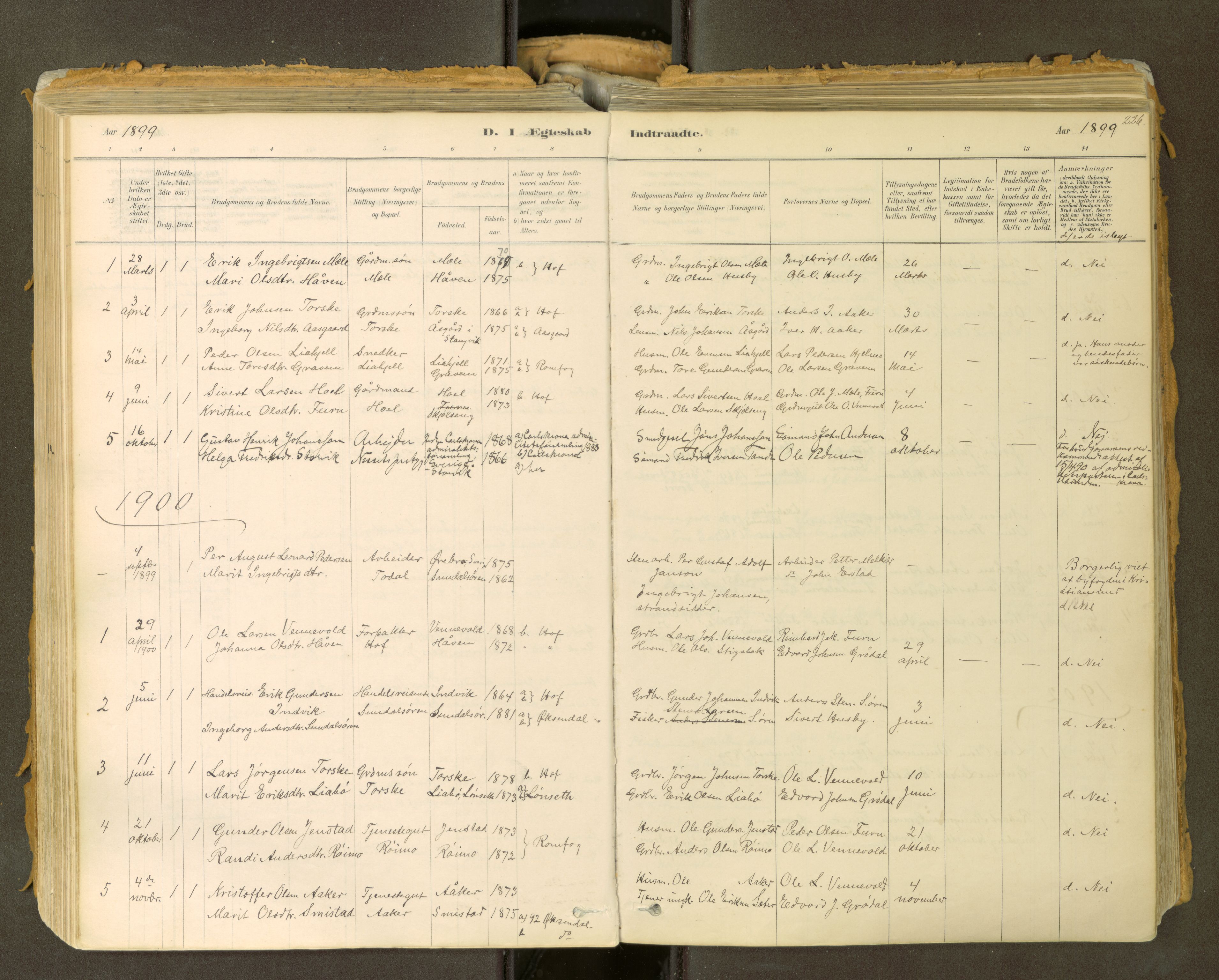 Sunndal sokneprestkontor, SAT/A-1085/1/I/I1/I1a: Ministerialbok nr. 2, 1877-1914, s. 226