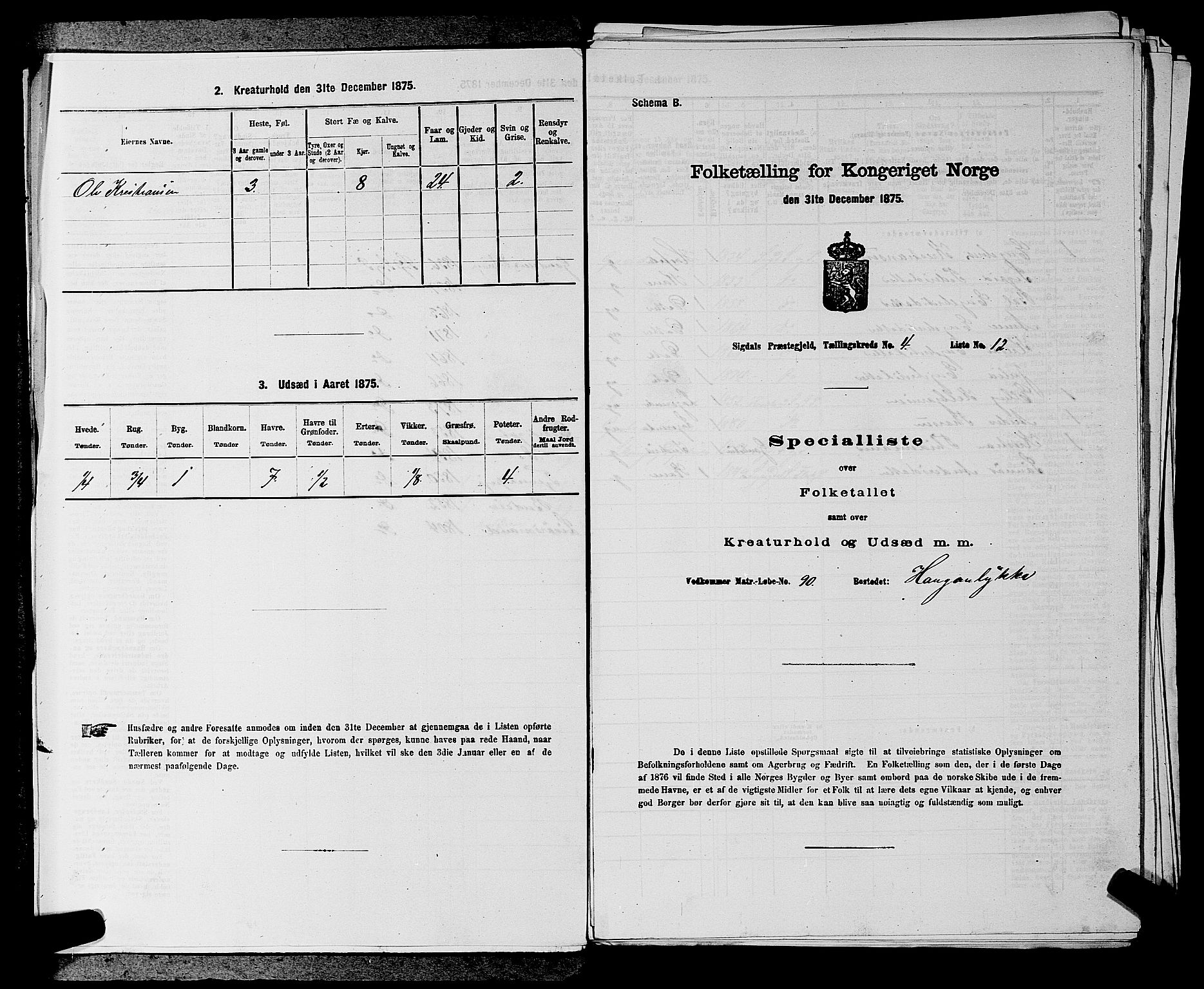 SAKO, Folketelling 1875 for 0621P Sigdal prestegjeld, 1875, s. 586