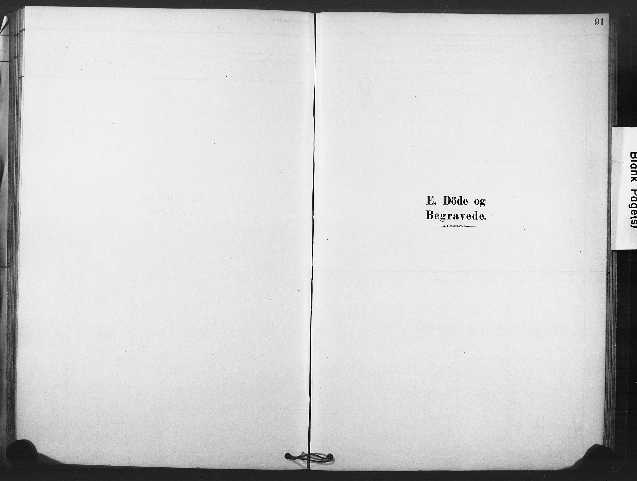 Rollag kirkebøker, SAKO/A-240/F/Fb/L0001: Ministerialbok nr. II 1, 1878-1899, s. 91