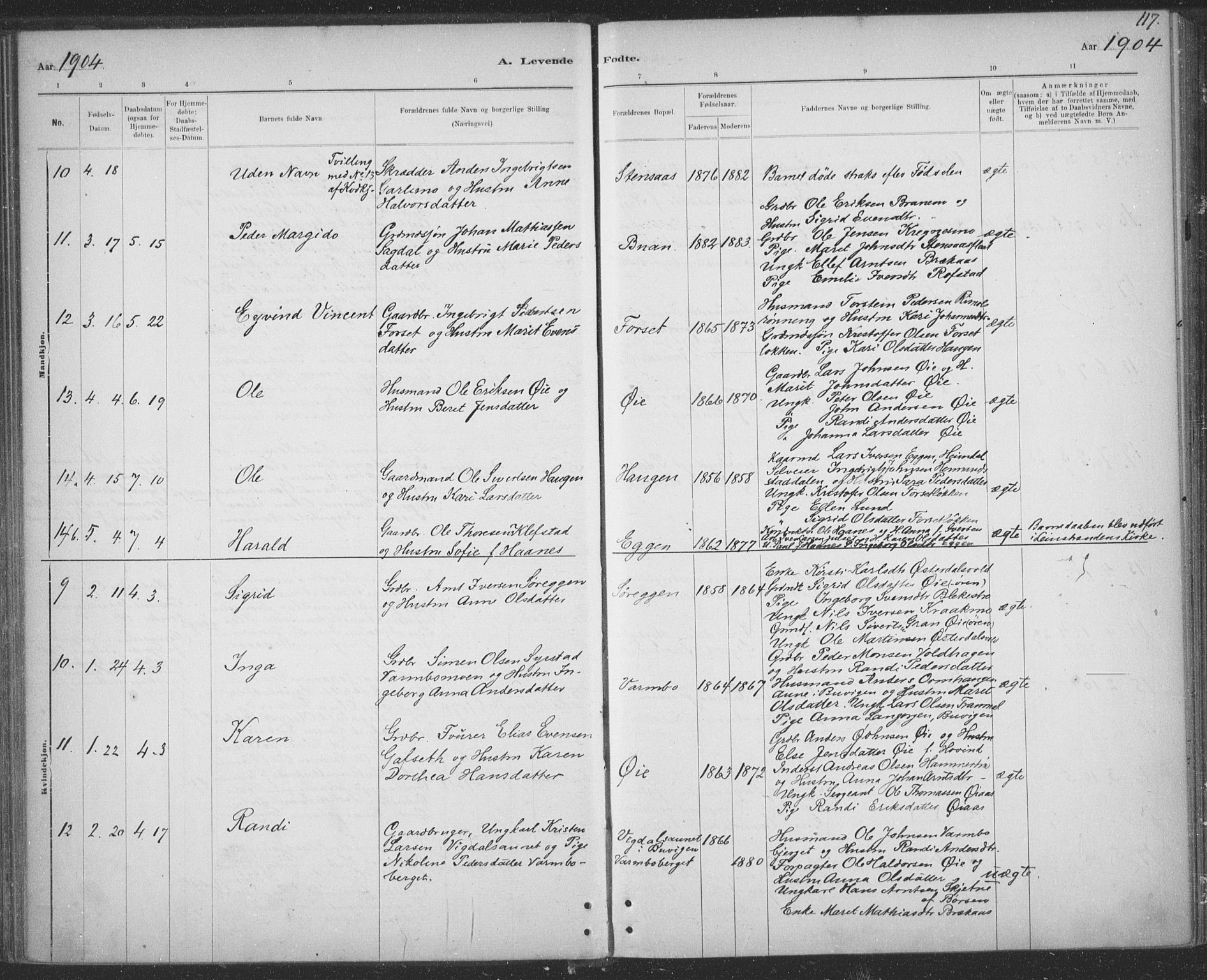 Ministerialprotokoller, klokkerbøker og fødselsregistre - Sør-Trøndelag, SAT/A-1456/691/L1085: Ministerialbok nr. 691A17, 1887-1908, s. 117