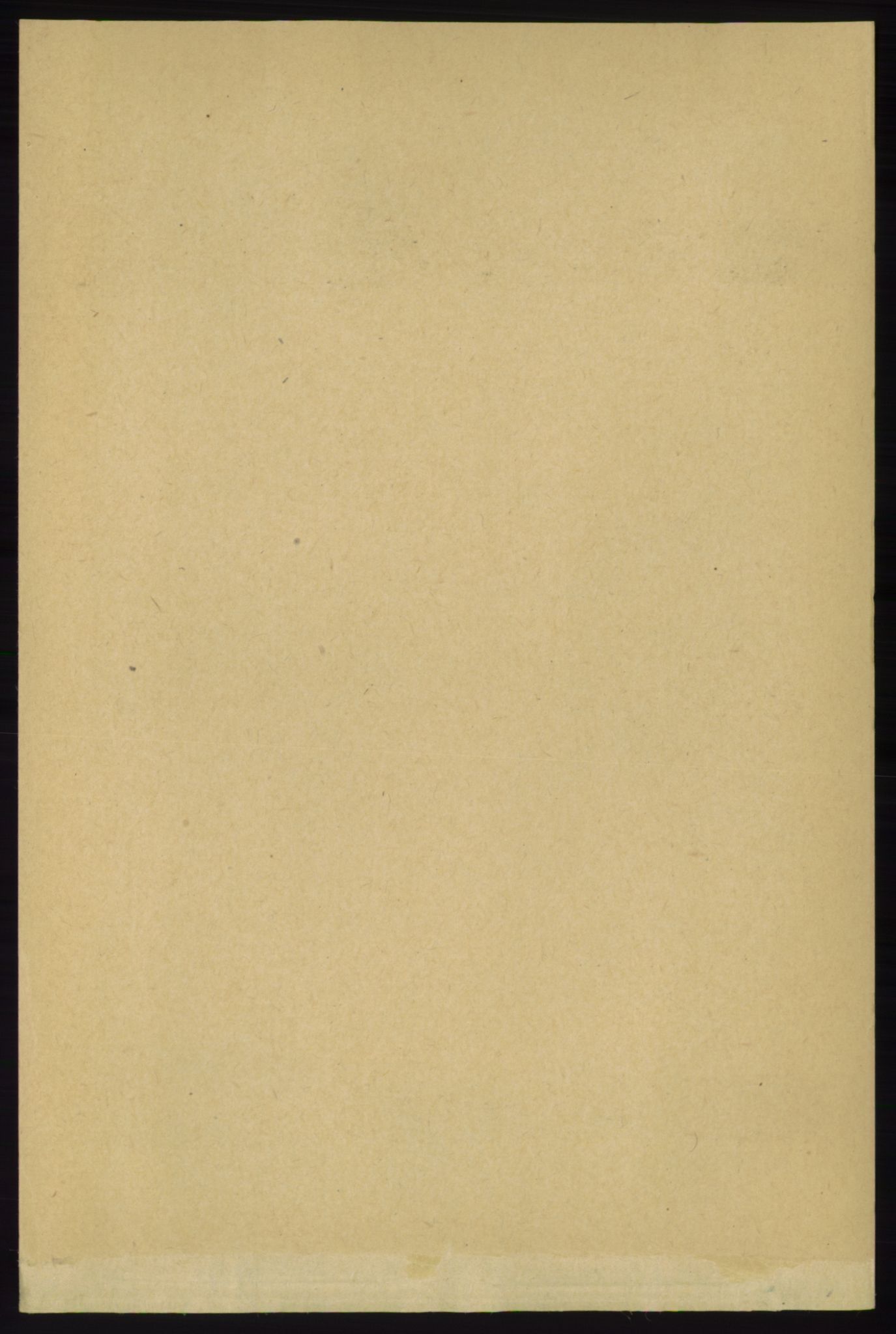 RA, Folketelling 1891 for 1131 Årdal herred, 1891, s. 103