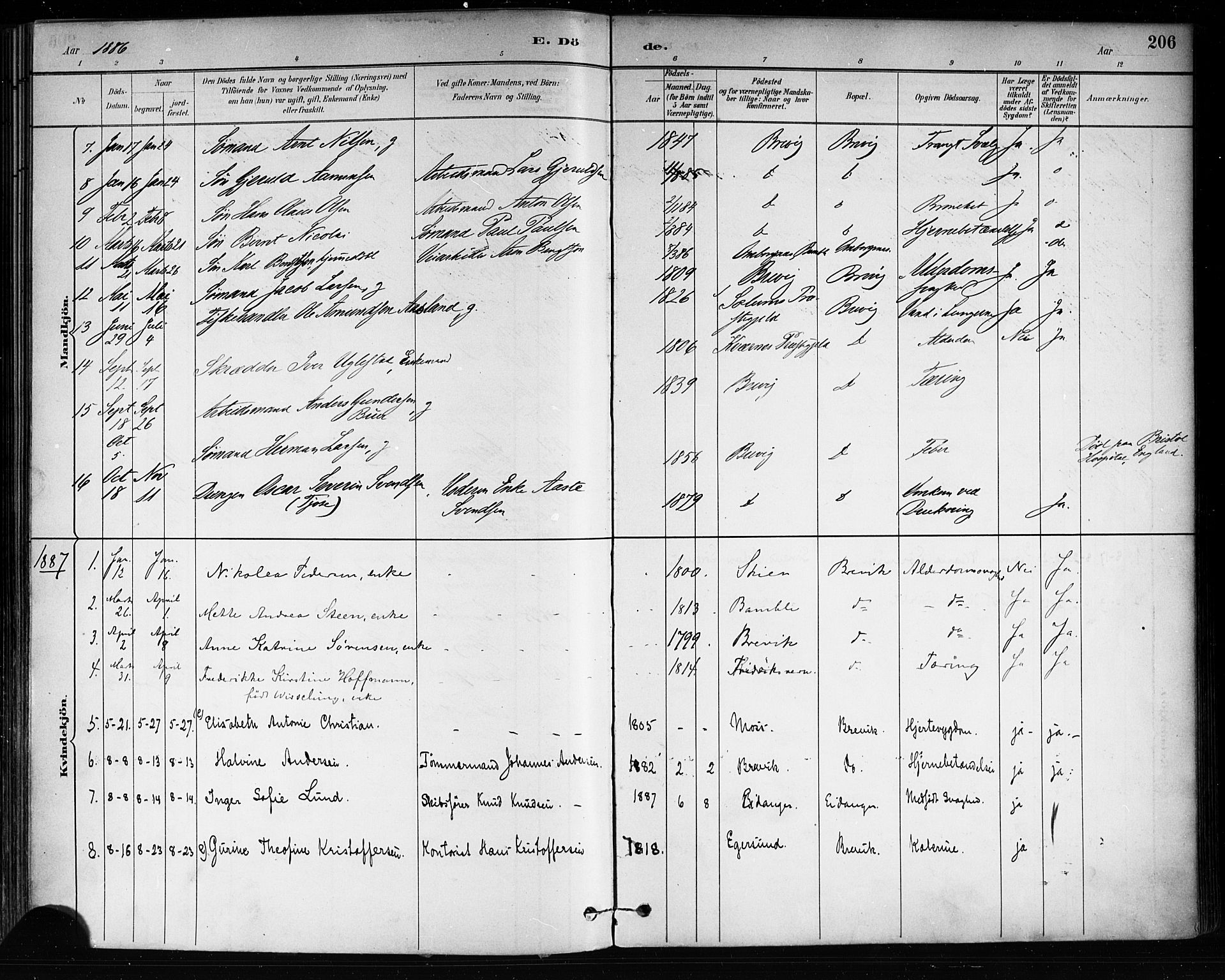 Brevik kirkebøker, AV/SAKO-A-255/F/Fa/L0007: Ministerialbok nr. 7, 1882-1900, s. 206