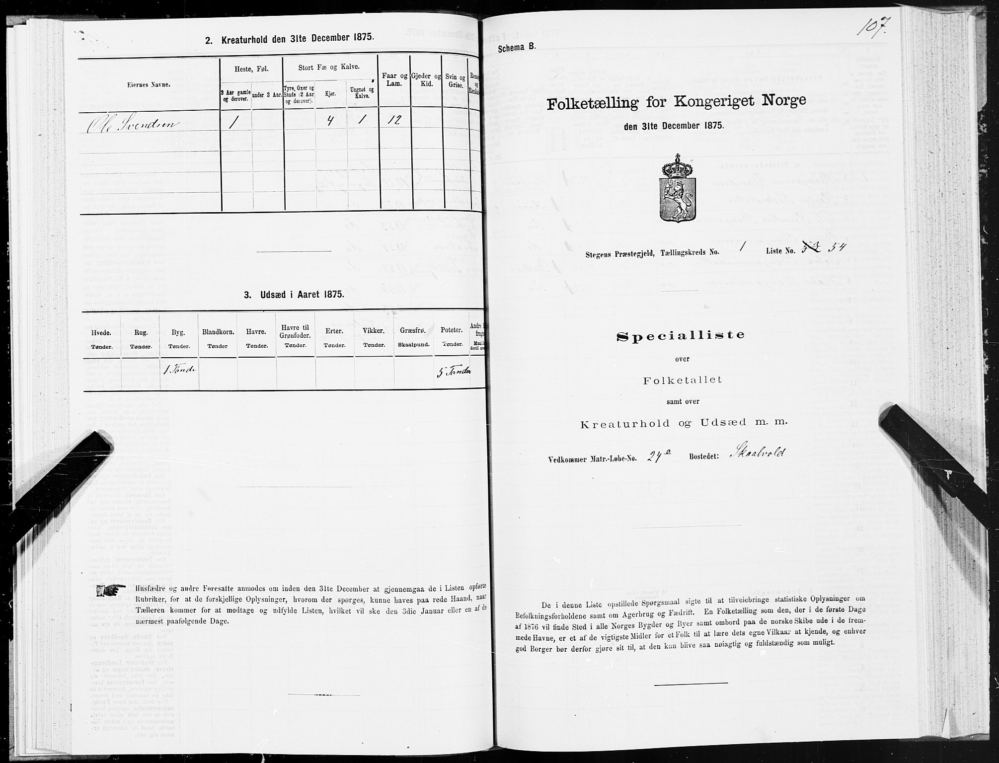 SAT, Folketelling 1875 for 1848P Steigen prestegjeld, 1875, s. 1107