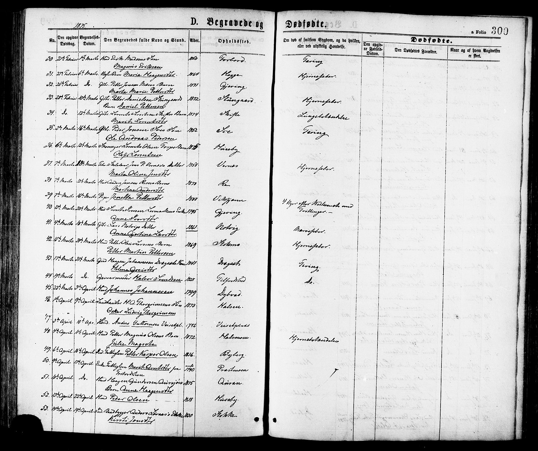 Ministerialprotokoller, klokkerbøker og fødselsregistre - Nord-Trøndelag, SAT/A-1458/709/L0076: Ministerialbok nr. 709A16, 1871-1879, s. 300