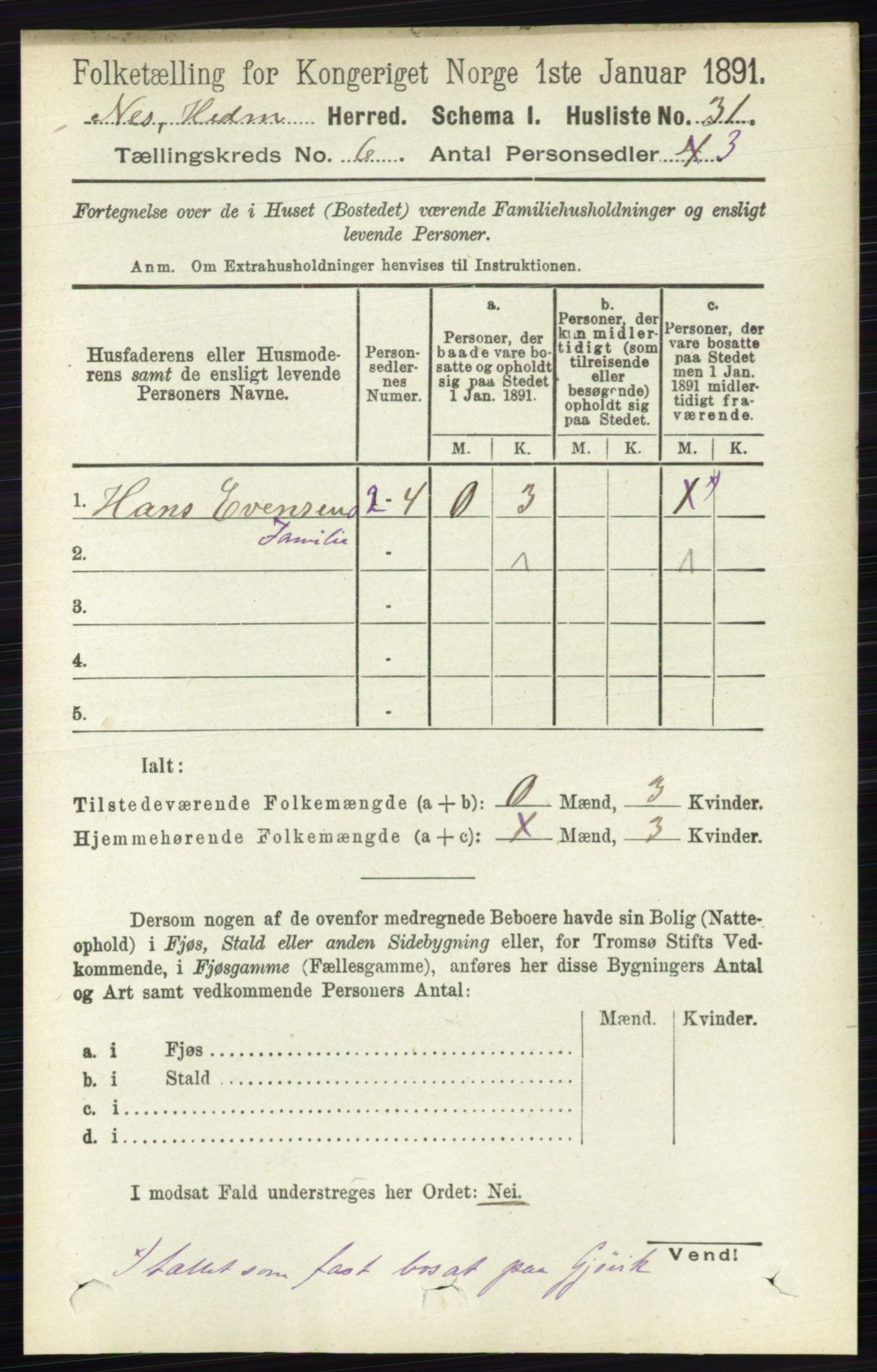 RA, Folketelling 1891 for 0411 Nes herred, 1891, s. 3199