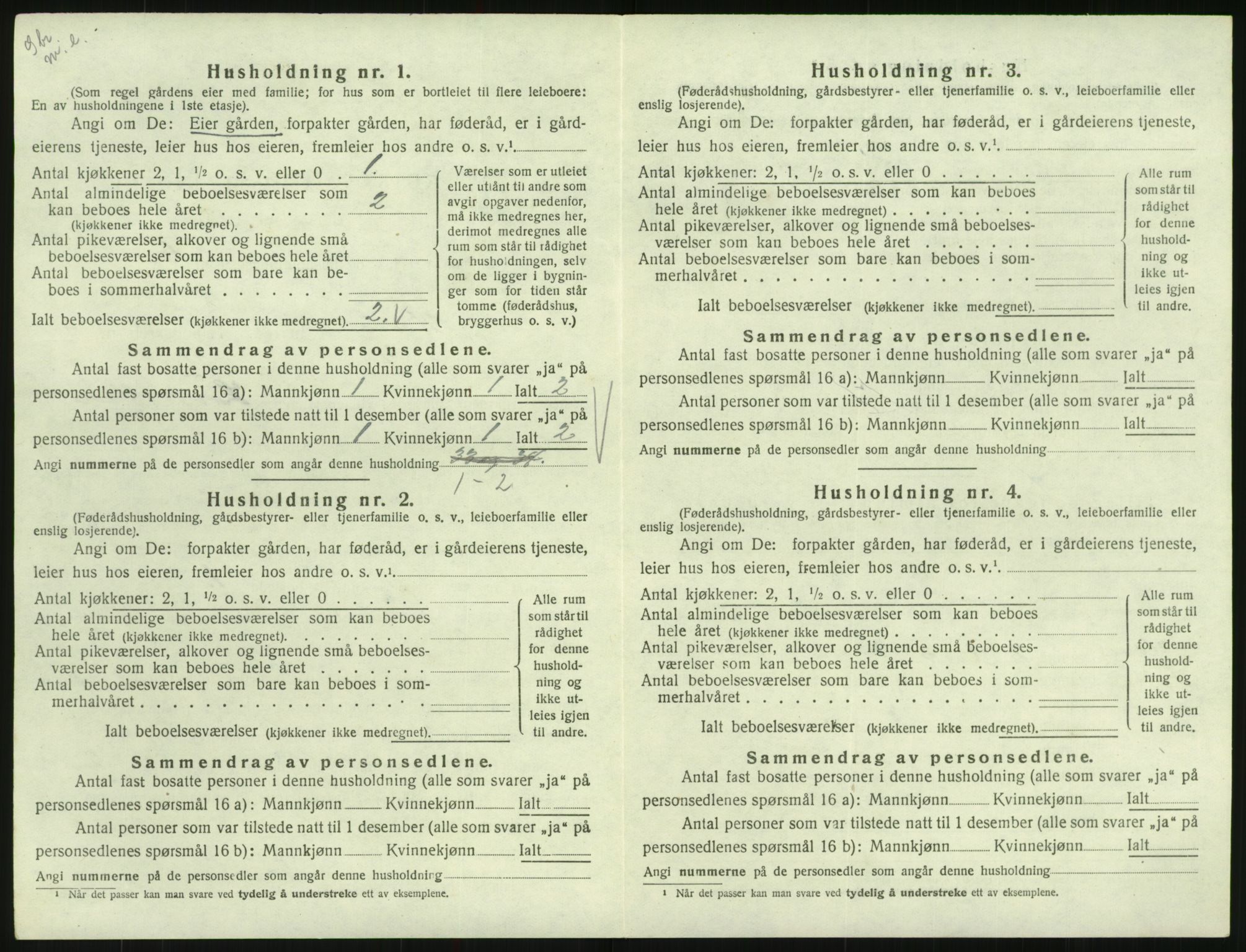 SAK, Folketelling 1920 for 0936 Hornnes herred, 1920, s. 216