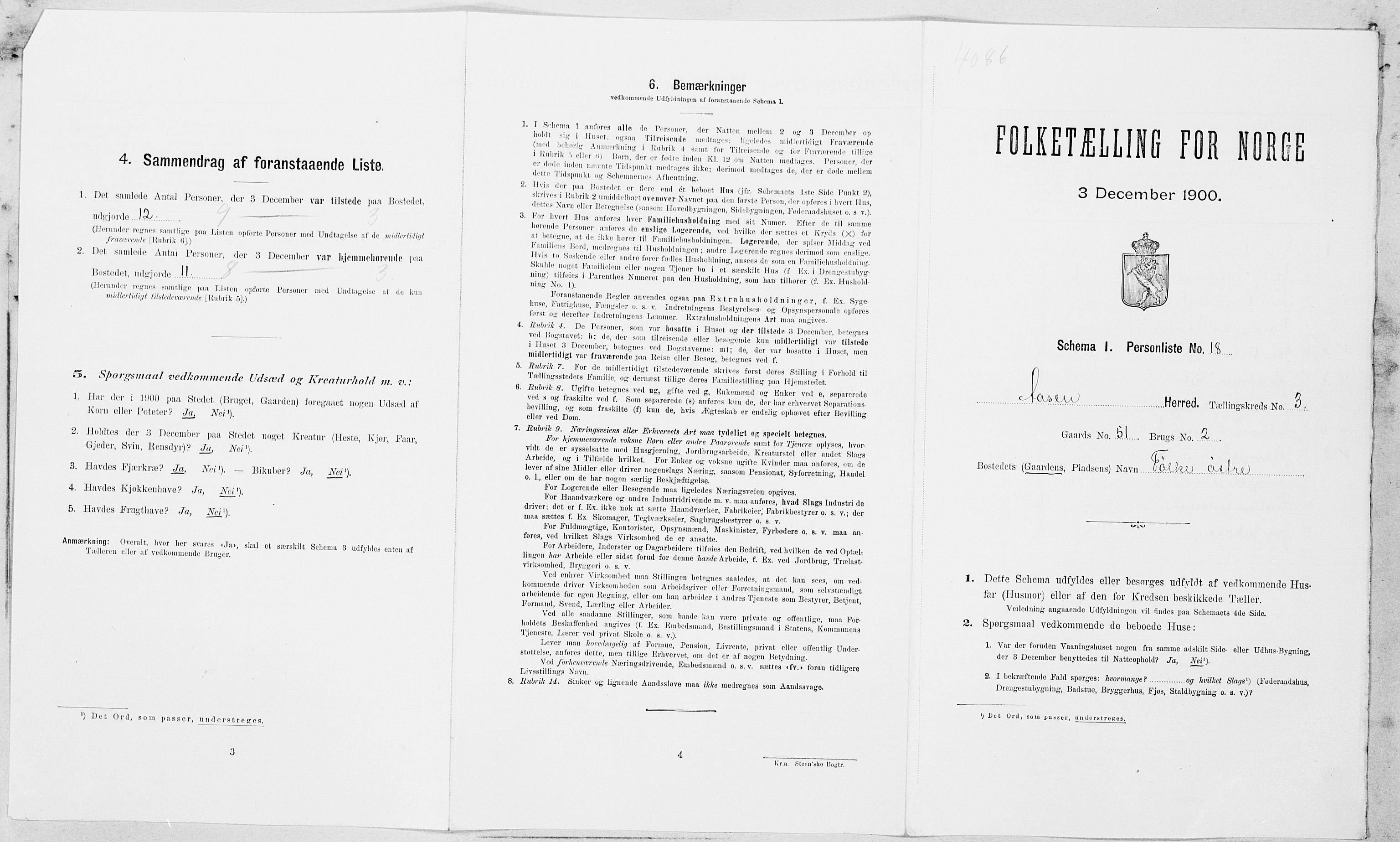 SAT, Folketelling 1900 for 1716 Åsen herred, 1900, s. 294