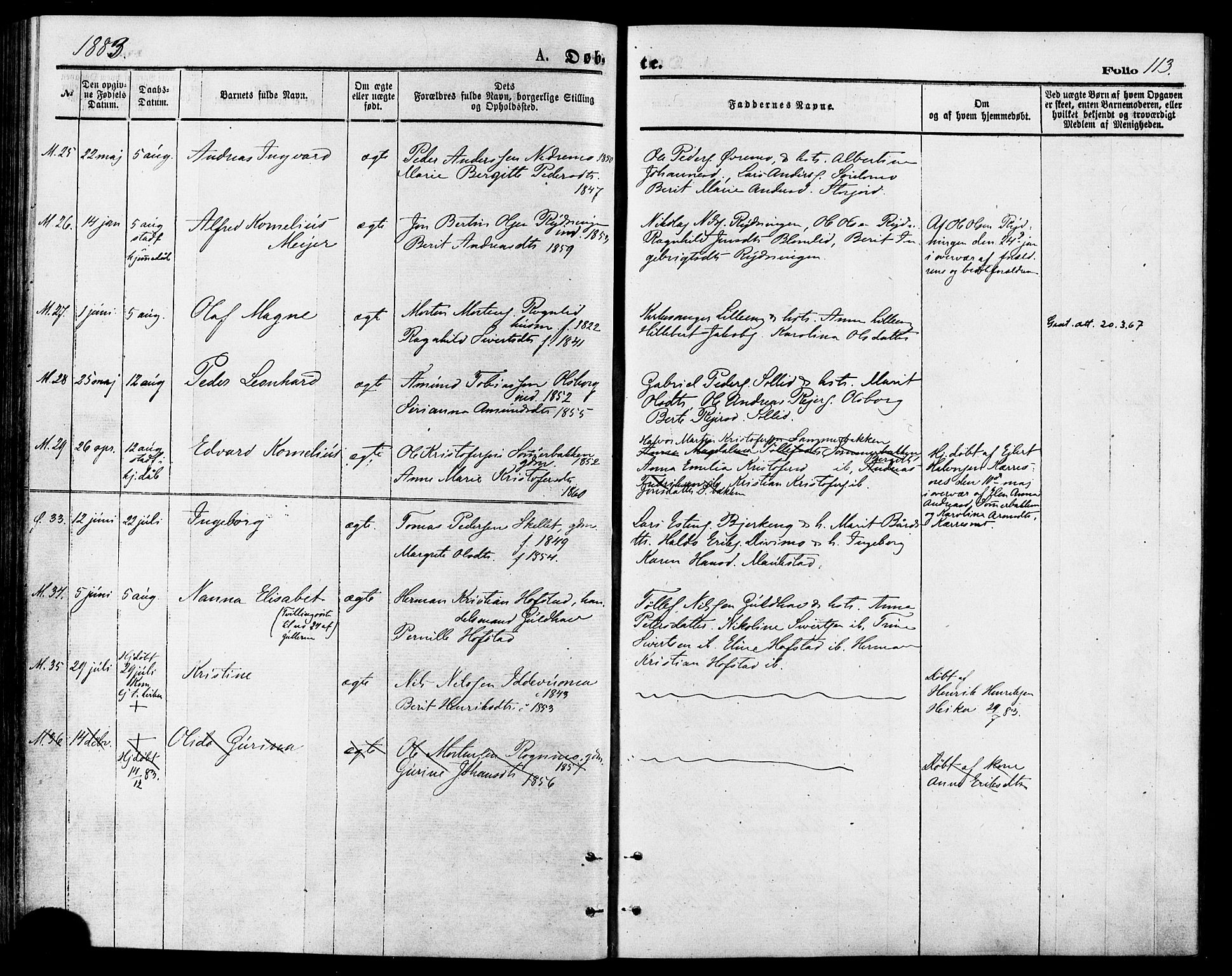 Målselv sokneprestembete, AV/SATØ-S-1311/G/Ga/Gaa/L0005kirke: Ministerialbok nr. 5, 1872-1884, s. 113