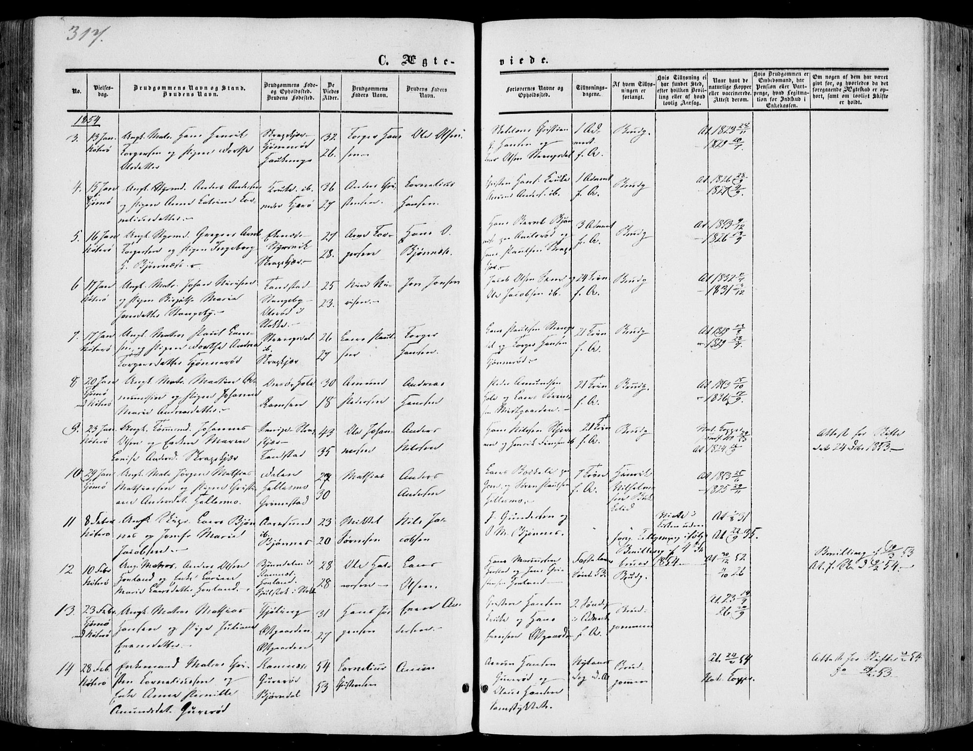 Nøtterøy kirkebøker, AV/SAKO-A-354/F/Fa/L0006: Ministerialbok nr. I 6, 1852-1864, s. 317