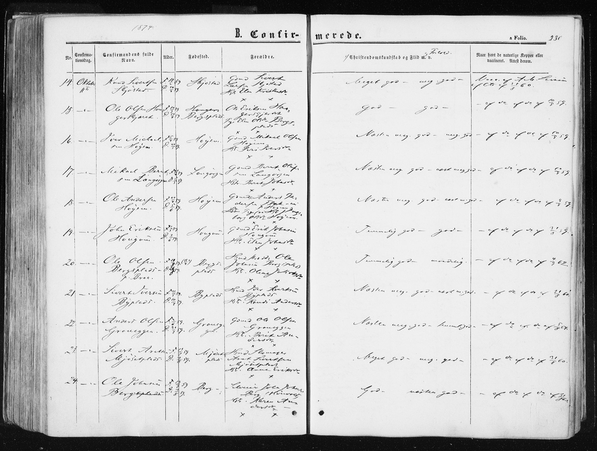 Ministerialprotokoller, klokkerbøker og fødselsregistre - Sør-Trøndelag, SAT/A-1456/612/L0377: Ministerialbok nr. 612A09, 1859-1877, s. 230