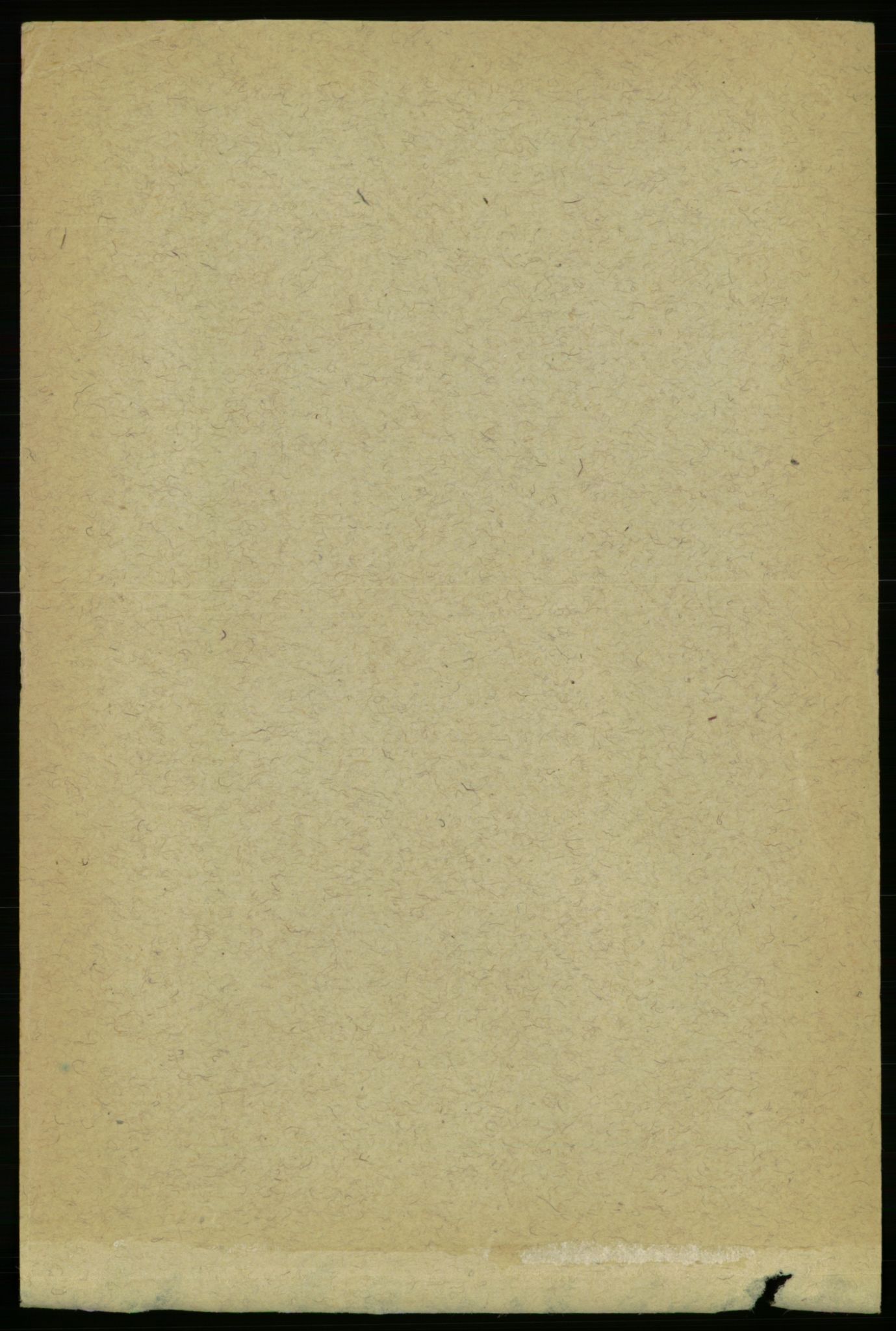 RA, Folketelling 1891 for 1654 Leinstrand herred, 1891, s. 1535