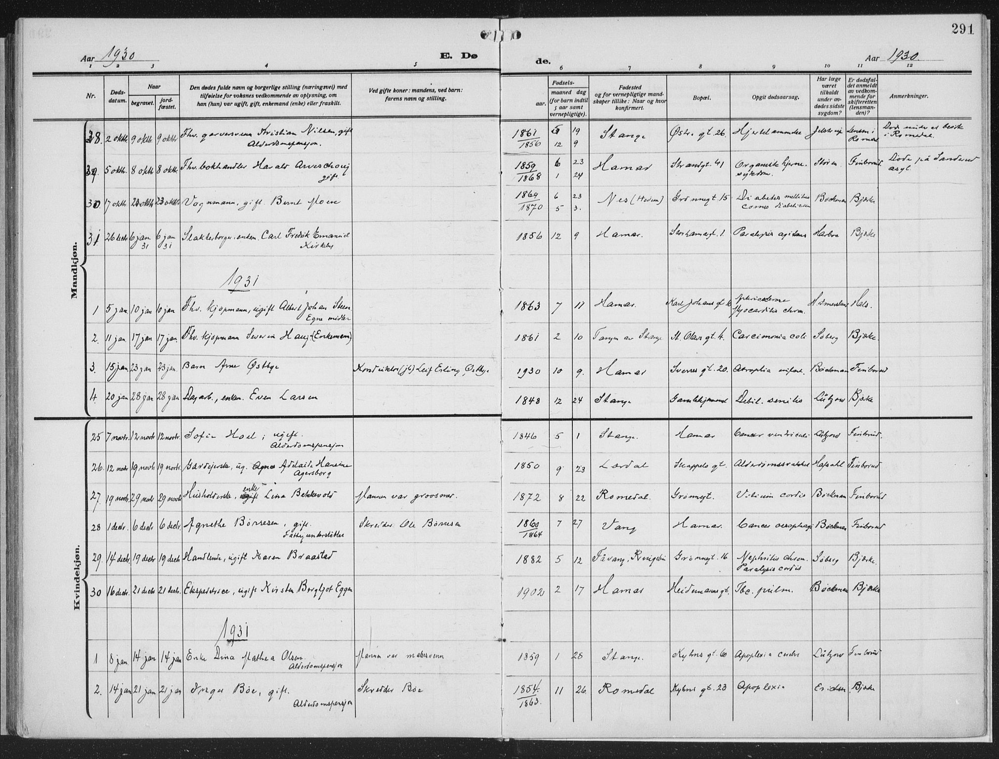 Hamar prestekontor, SAH/DOMPH-002/H/Ha/Haa/L0002: Ministerialbok nr. 2, 1915-1936, s. 291