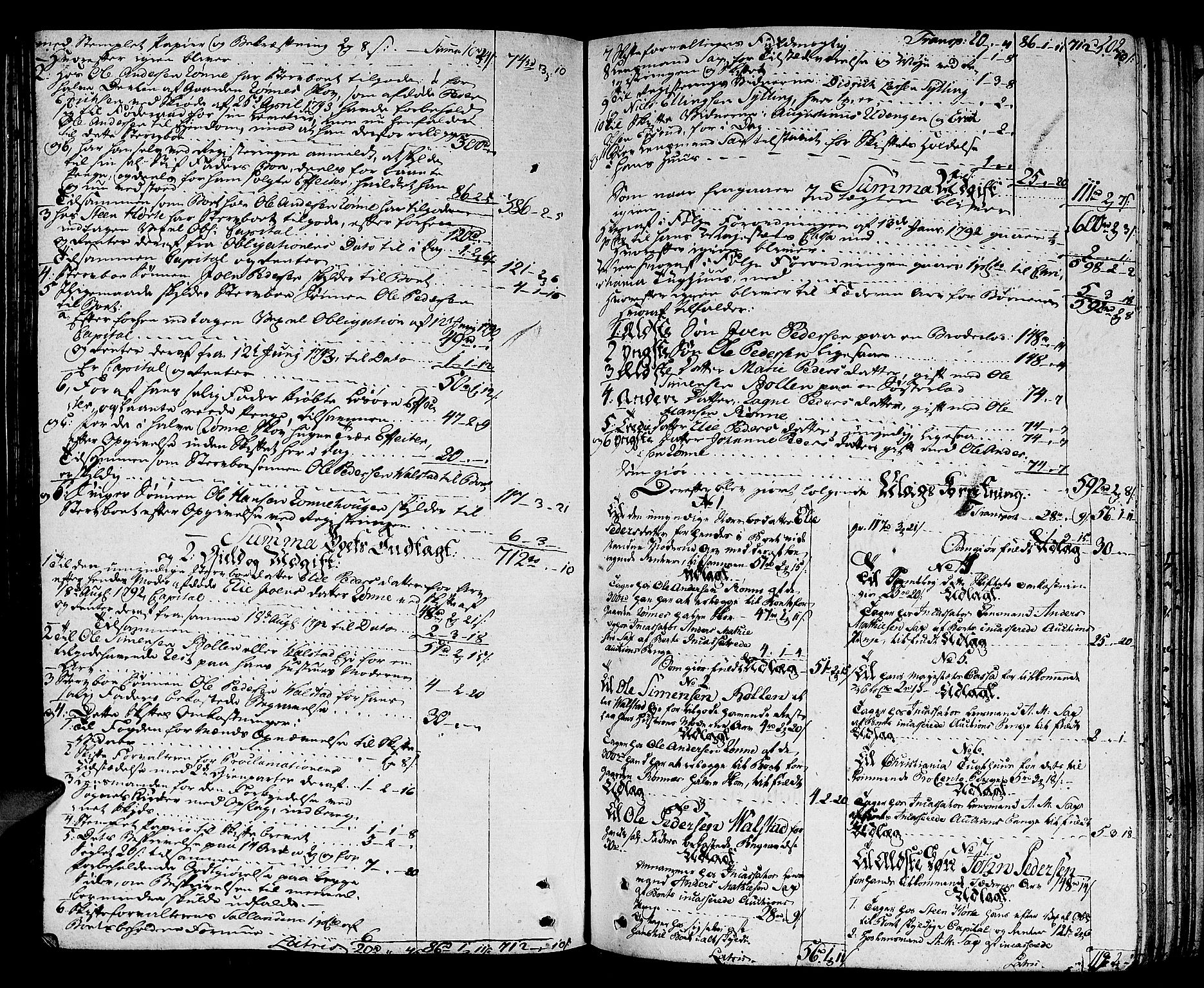 Lier, Røyken og Hurum sorenskriveri, AV/SAKO-A-89/H/Hc/L0007a: Skifteprotokoll, 1789-1799, s. 201b-202a
