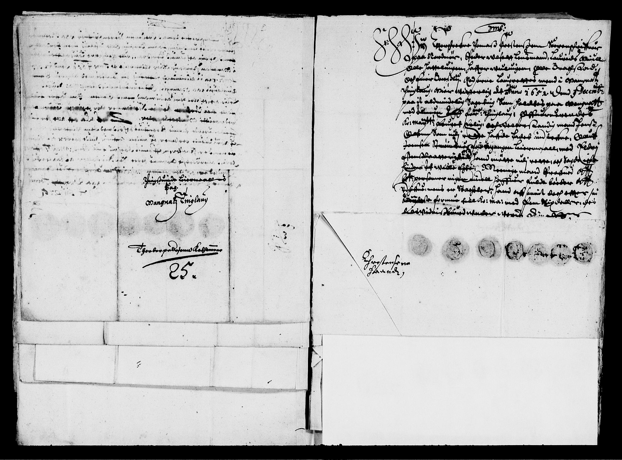 Rentekammeret inntil 1814, Reviderte regnskaper, Lensregnskaper, AV/RA-EA-5023/R/Rb/Rbw/L0103: Trondheim len, 1651-1652