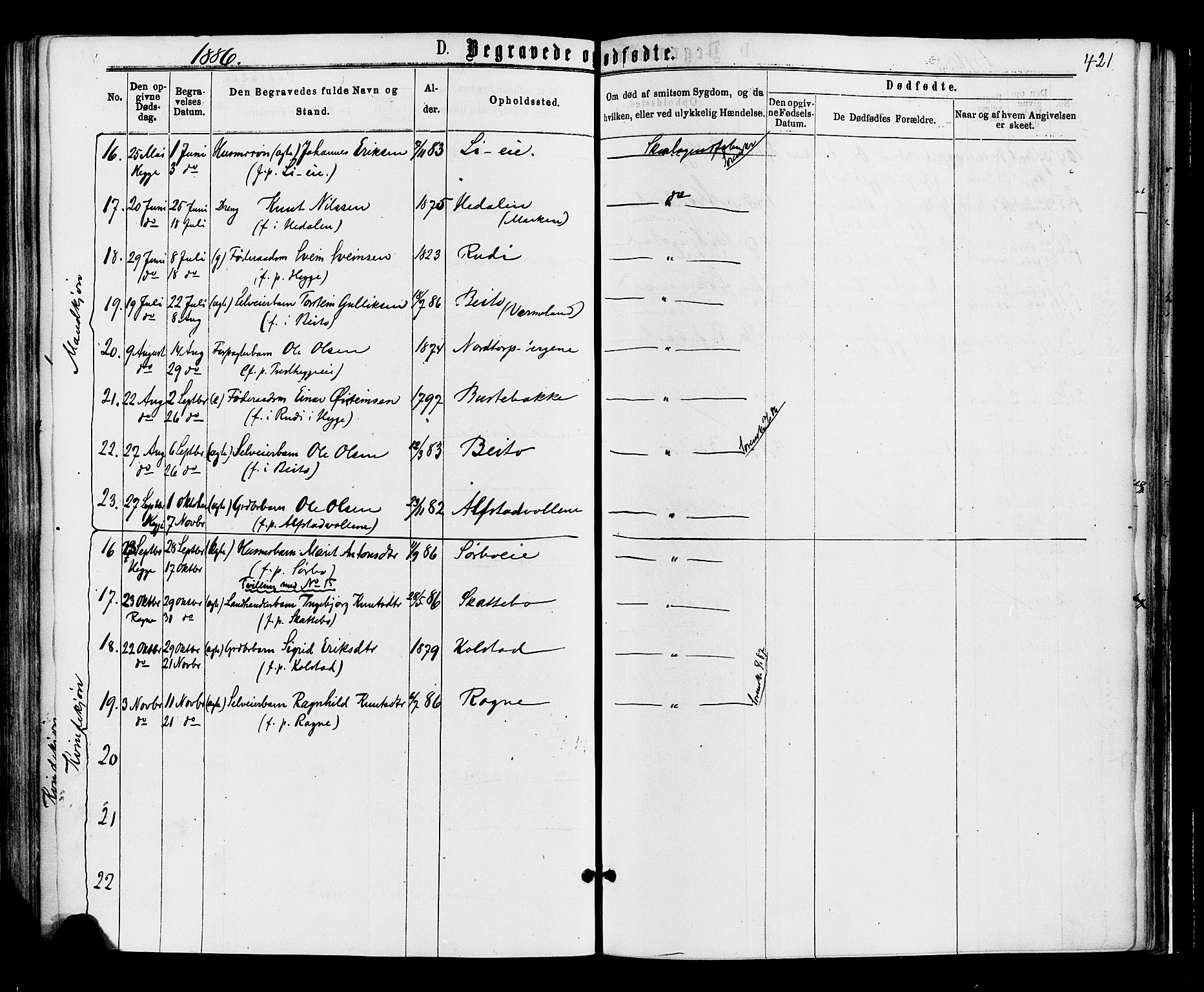Øystre Slidre prestekontor, AV/SAH-PREST-138/H/Ha/Haa/L0002: Ministerialbok nr. 2, 1874-1886, s. 421