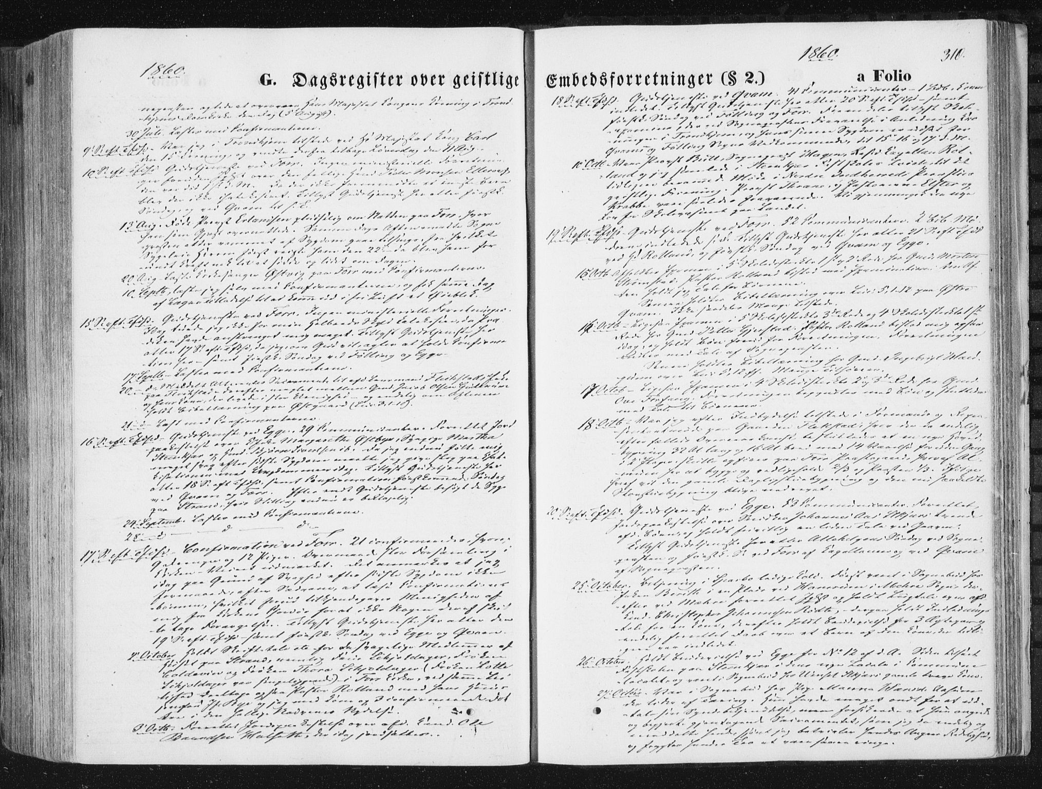 Ministerialprotokoller, klokkerbøker og fødselsregistre - Nord-Trøndelag, AV/SAT-A-1458/746/L0447: Ministerialbok nr. 746A06, 1860-1877, s. 310