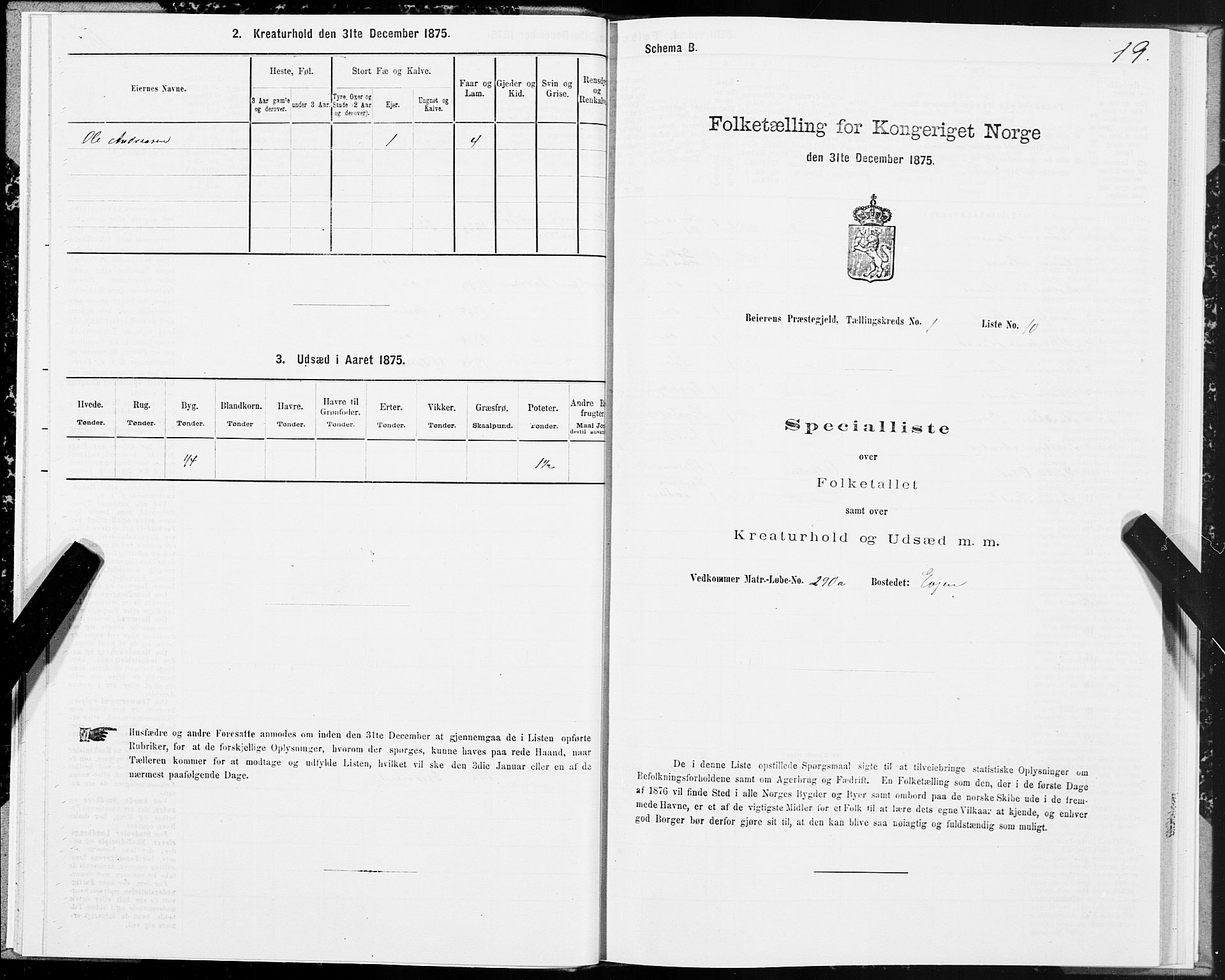 SAT, Folketelling 1875 for 1839P Beiarn prestegjeld, 1875, s. 1019