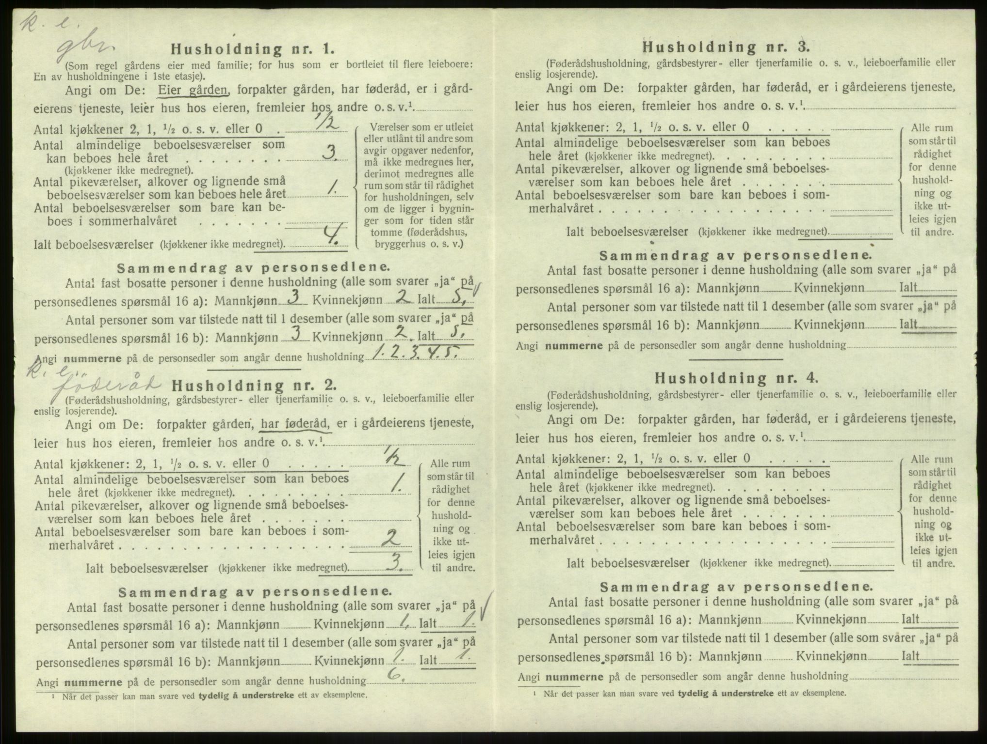 SAB, Folketelling 1920 for 1425 Hafslo herred, 1920, s. 293
