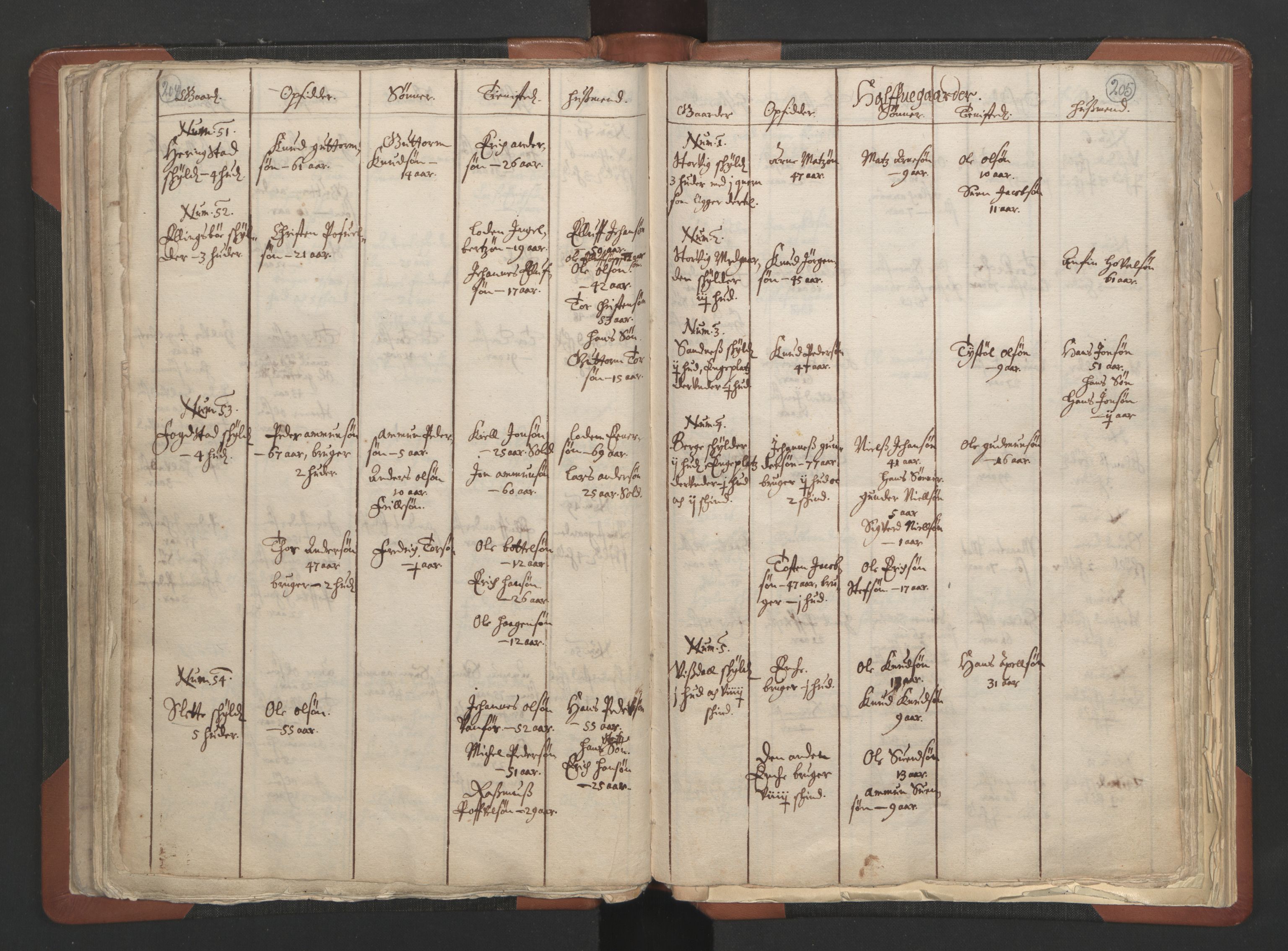 RA, Sogneprestenes manntall 1664-1666, nr. 6: Gudbrandsdal prosti, 1664-1666, s. 204-205