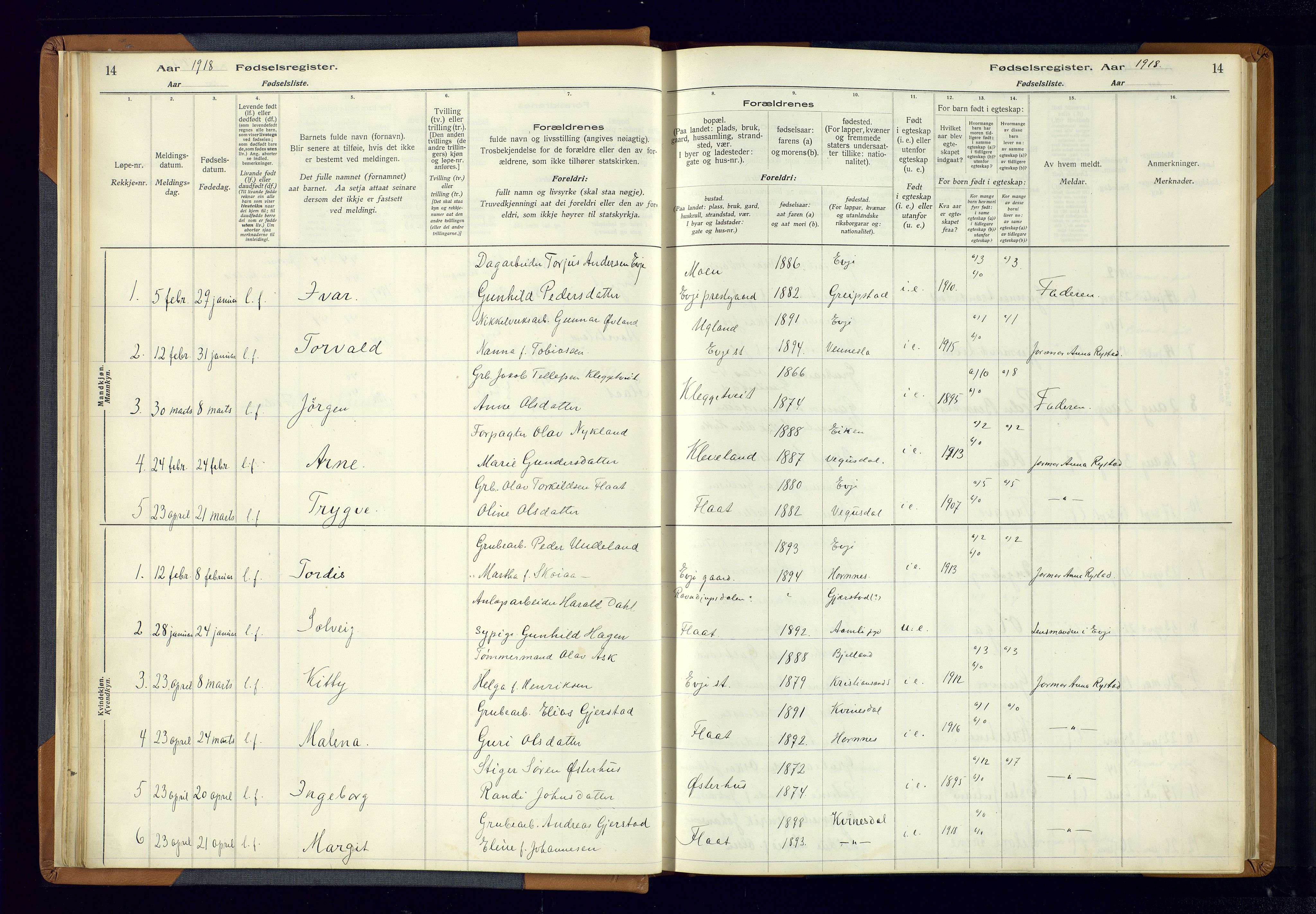 Evje sokneprestkontor, SAK/1111-0008/J/Jc/L0004: Fødselsregister nr. 4, 1916-1968, s. 14