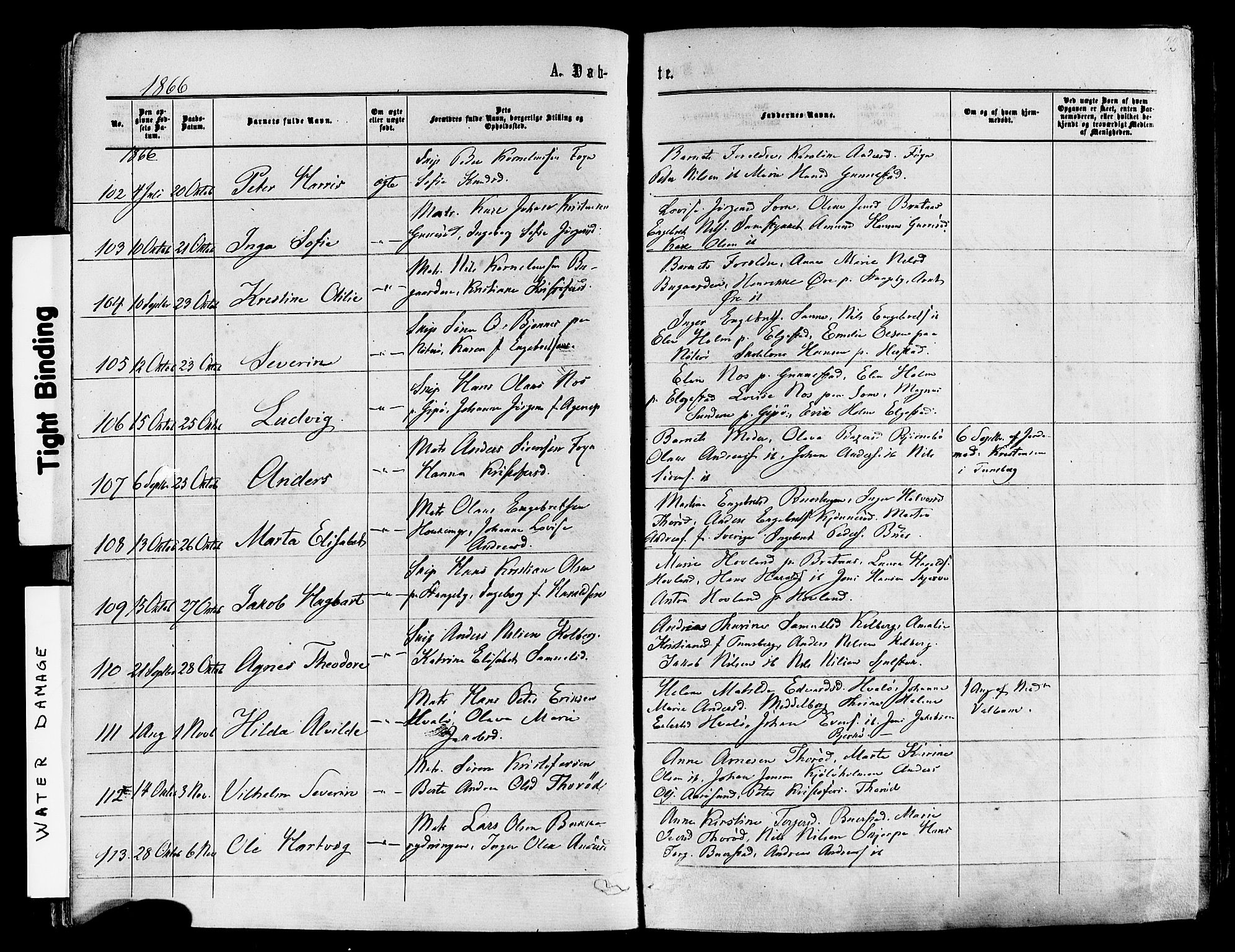 Nøtterøy kirkebøker, AV/SAKO-A-354/F/Fa/L0007: Ministerialbok nr. I 7, 1865-1877, s. 22