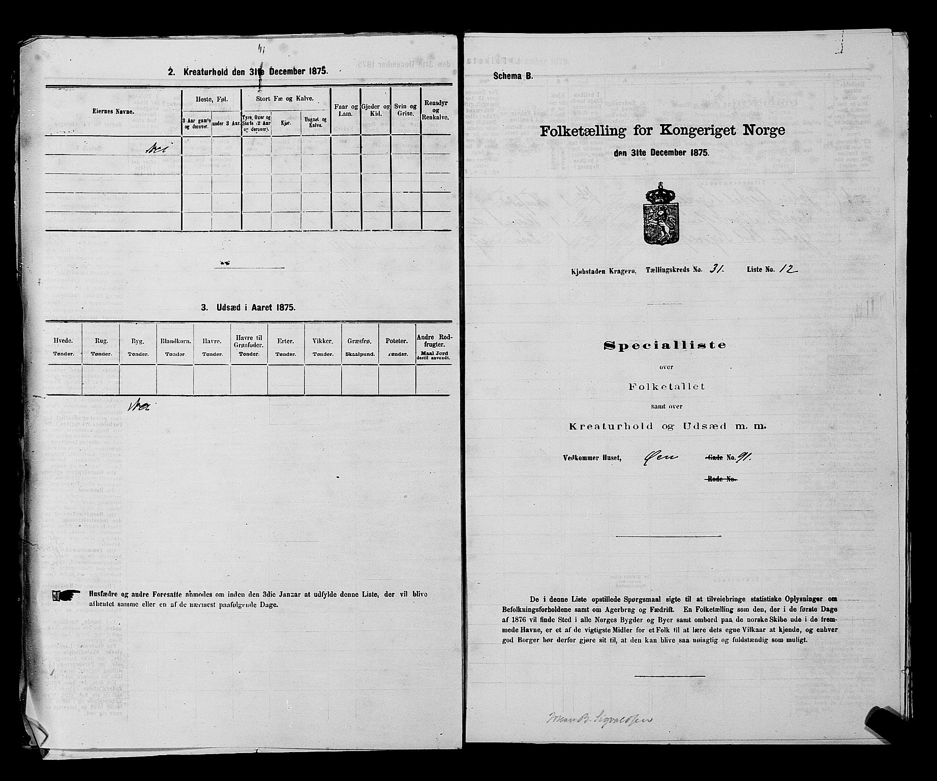 SAKO, Folketelling 1875 for 0801P Kragerø prestegjeld, 1875, s. 779