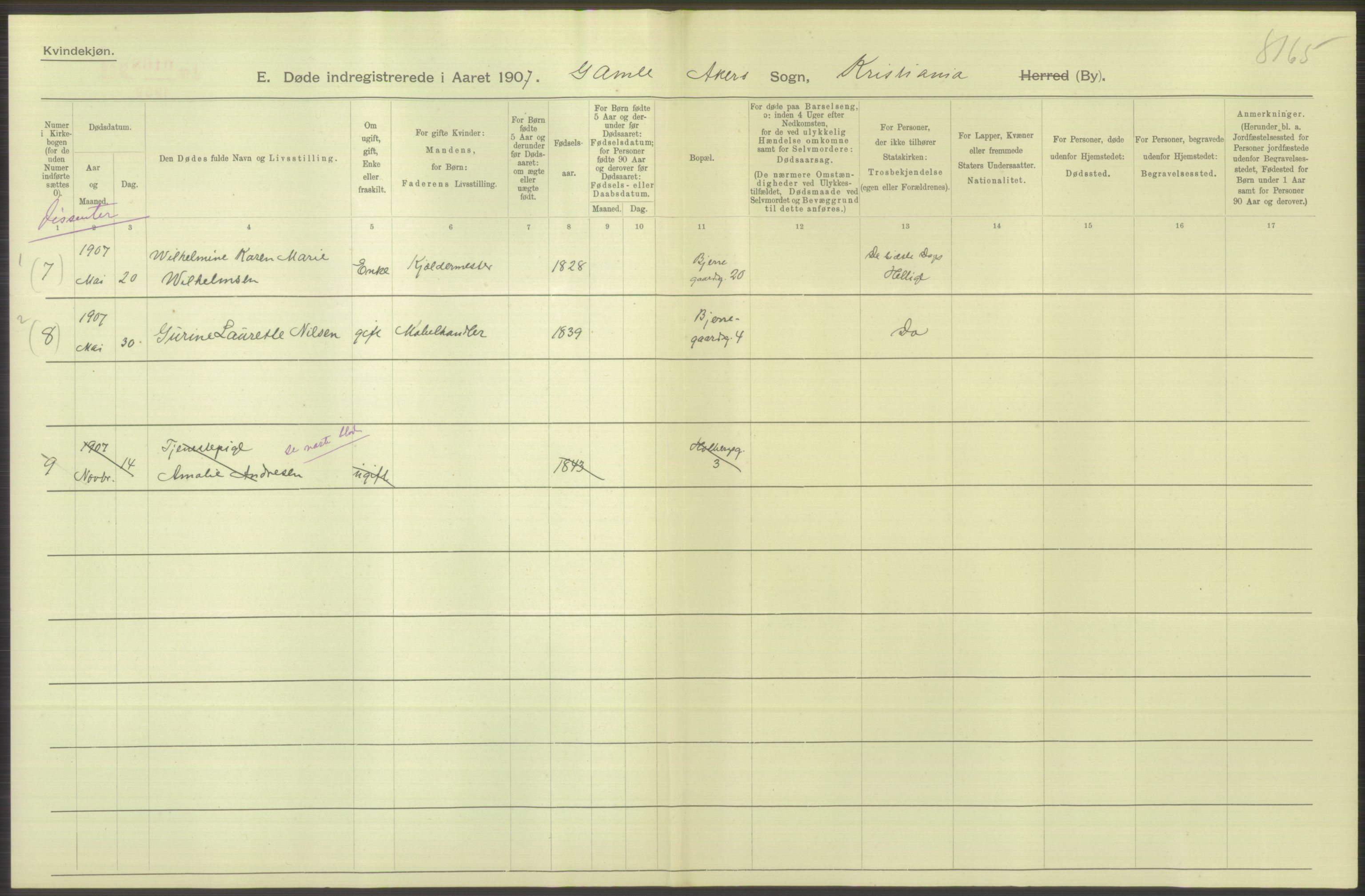 Statistisk sentralbyrå, Sosiodemografiske emner, Befolkning, RA/S-2228/D/Df/Dfa/Dfae/L0009: Kristiania: Døde, 1907, s. 226