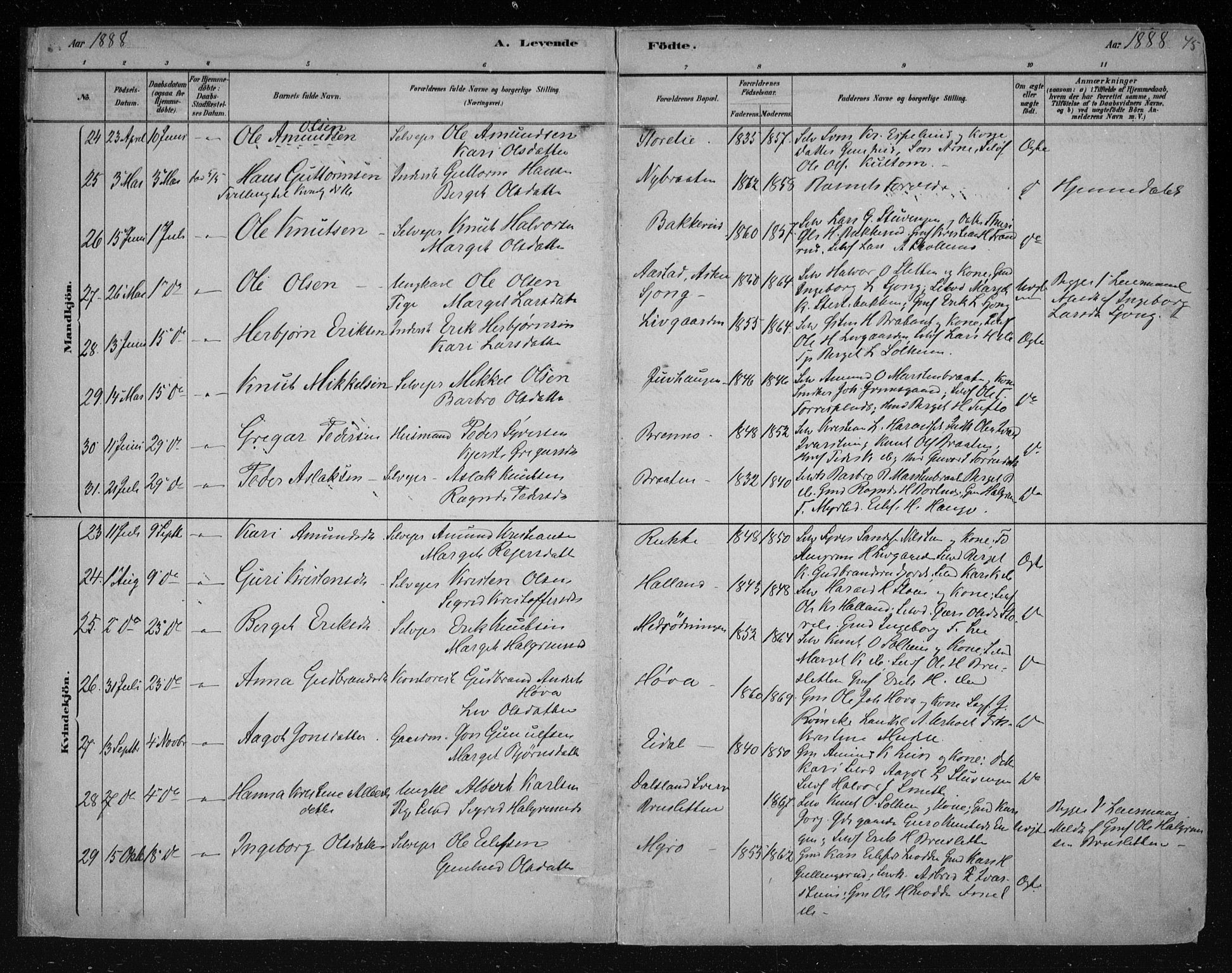 Nes kirkebøker, AV/SAKO-A-236/F/Fa/L0011: Ministerialbok nr. 11, 1881-1912, s. 45