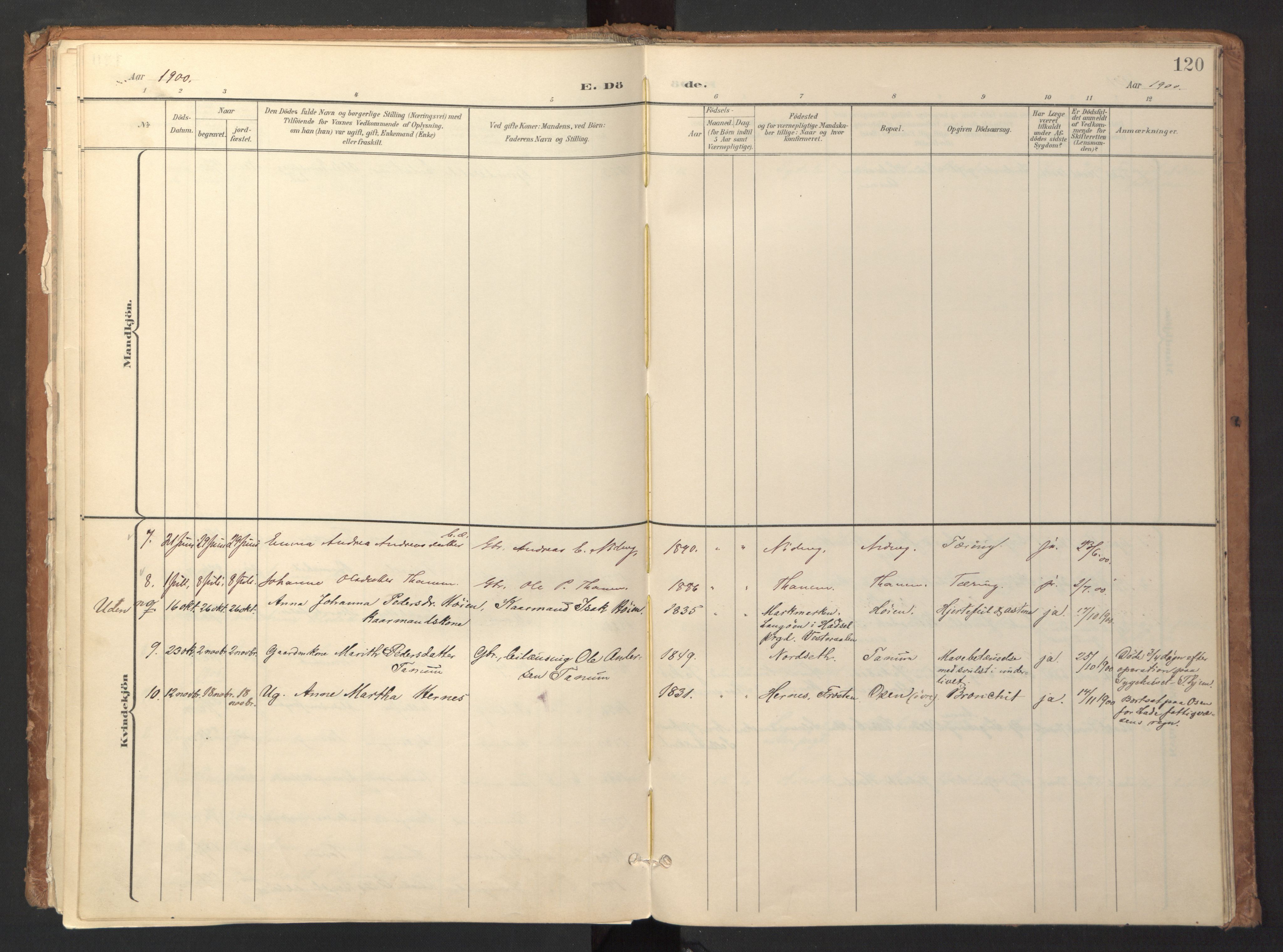 Ministerialprotokoller, klokkerbøker og fødselsregistre - Sør-Trøndelag, SAT/A-1456/618/L0448: Ministerialbok nr. 618A11, 1898-1916, s. 120
