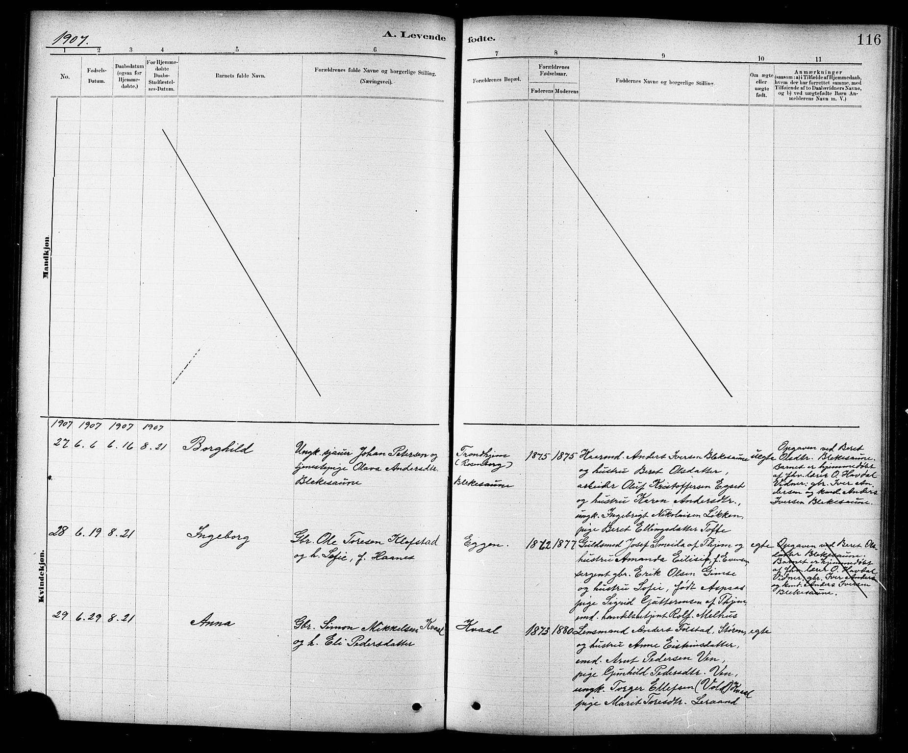 Ministerialprotokoller, klokkerbøker og fødselsregistre - Sør-Trøndelag, AV/SAT-A-1456/691/L1094: Klokkerbok nr. 691C05, 1879-1911, s. 116