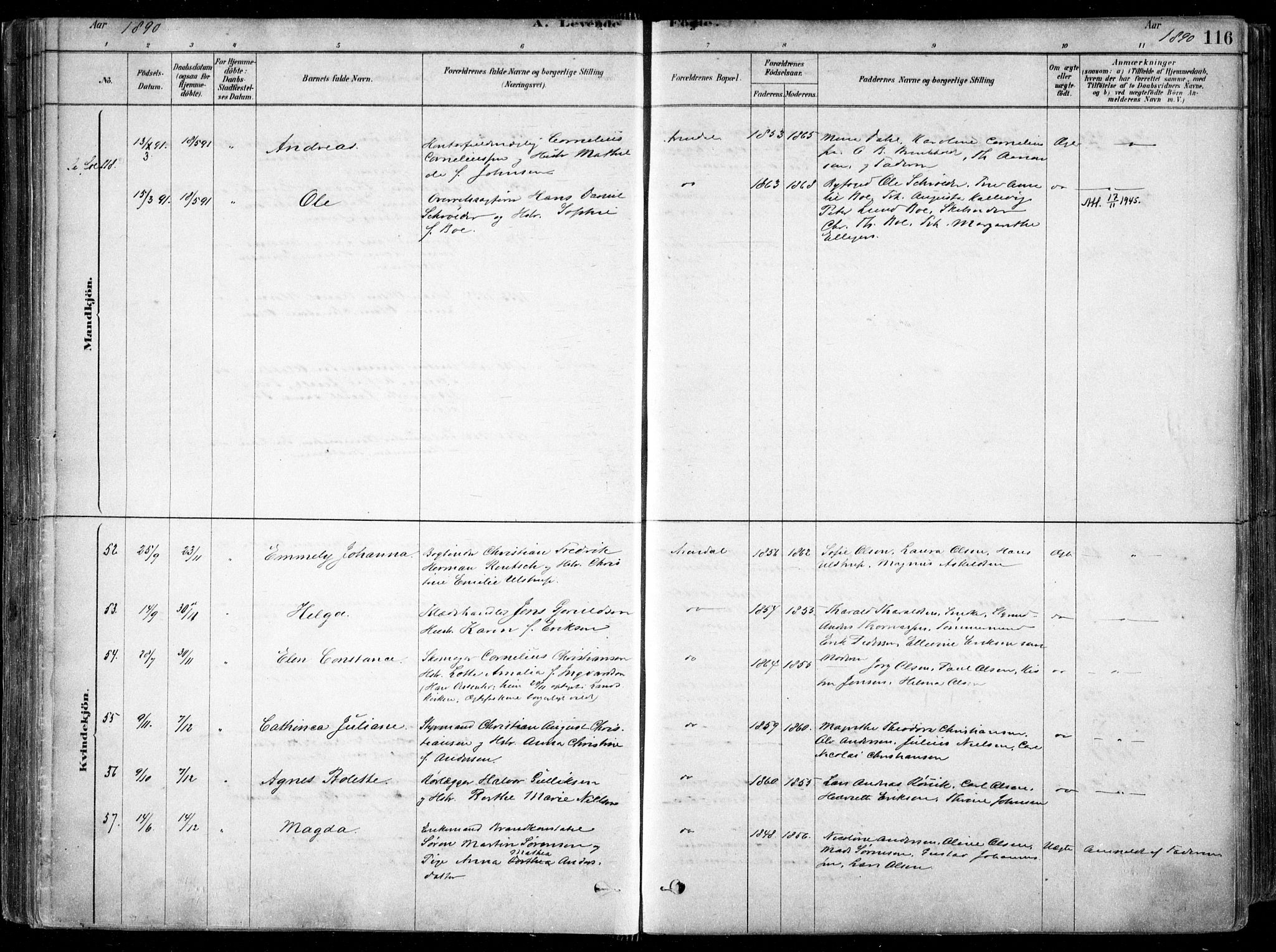 Arendal sokneprestkontor, Trefoldighet, SAK/1111-0040/F/Fa/L0008: Ministerialbok nr. A 8, 1878-1899, s. 116