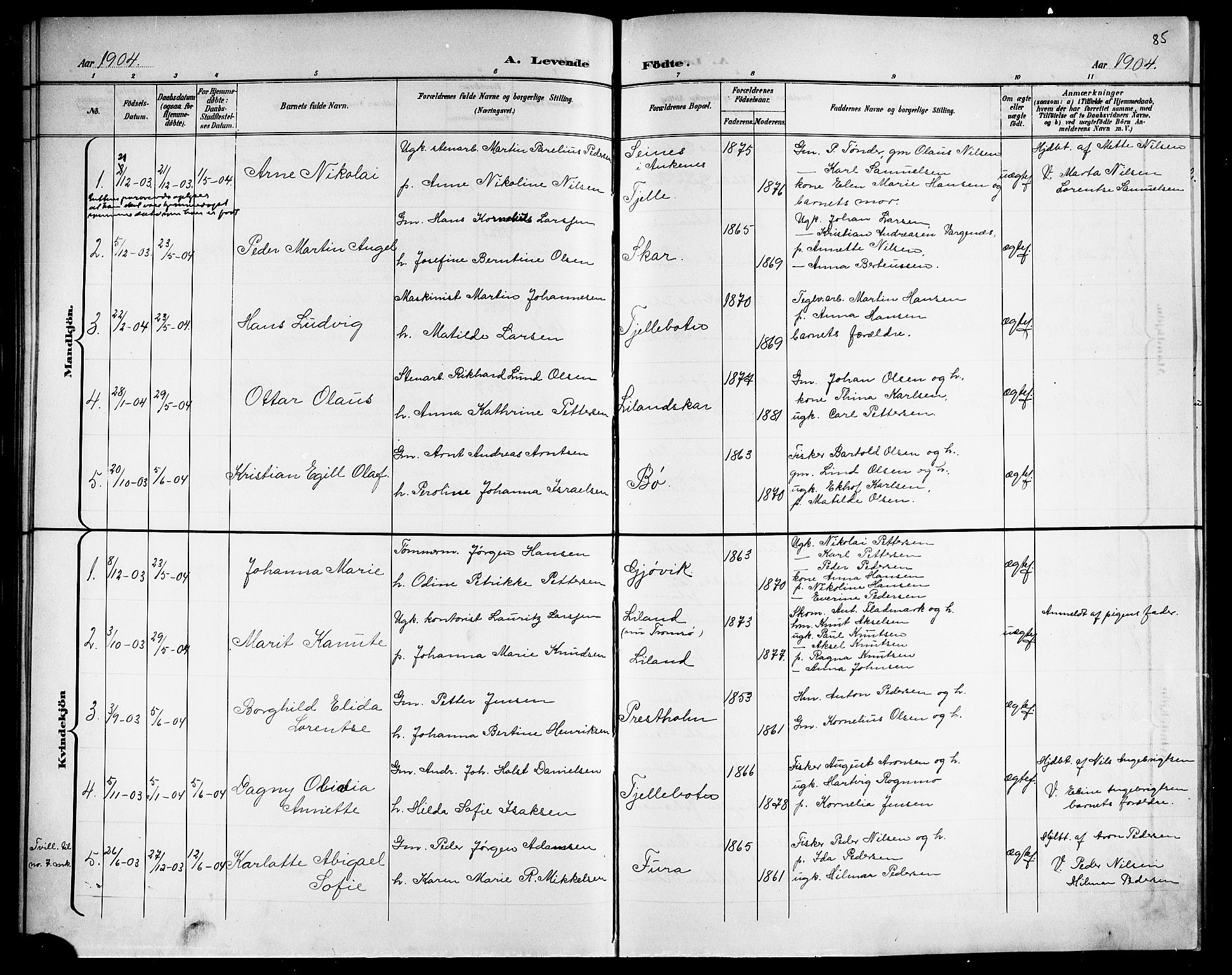 Ministerialprotokoller, klokkerbøker og fødselsregistre - Nordland, SAT/A-1459/863/L0915: Klokkerbok nr. 863C05, 1898-1907, s. 85