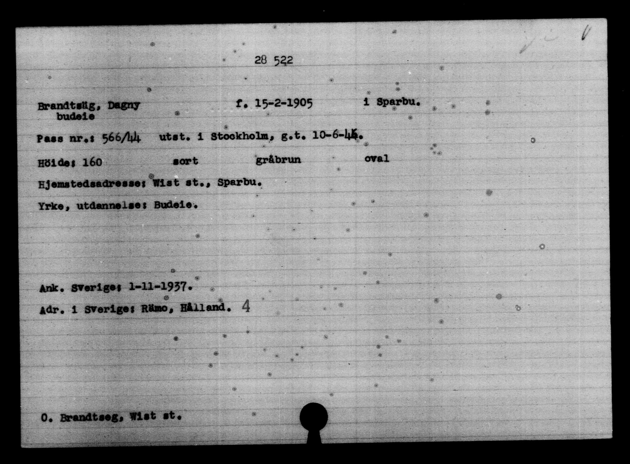 Den Kgl. Norske Legasjons Flyktningskontor, RA/S-6753/V/Va/L0012: Kjesäterkartoteket.  Flyktningenr. 28300-31566, 1940-1945, s. 244