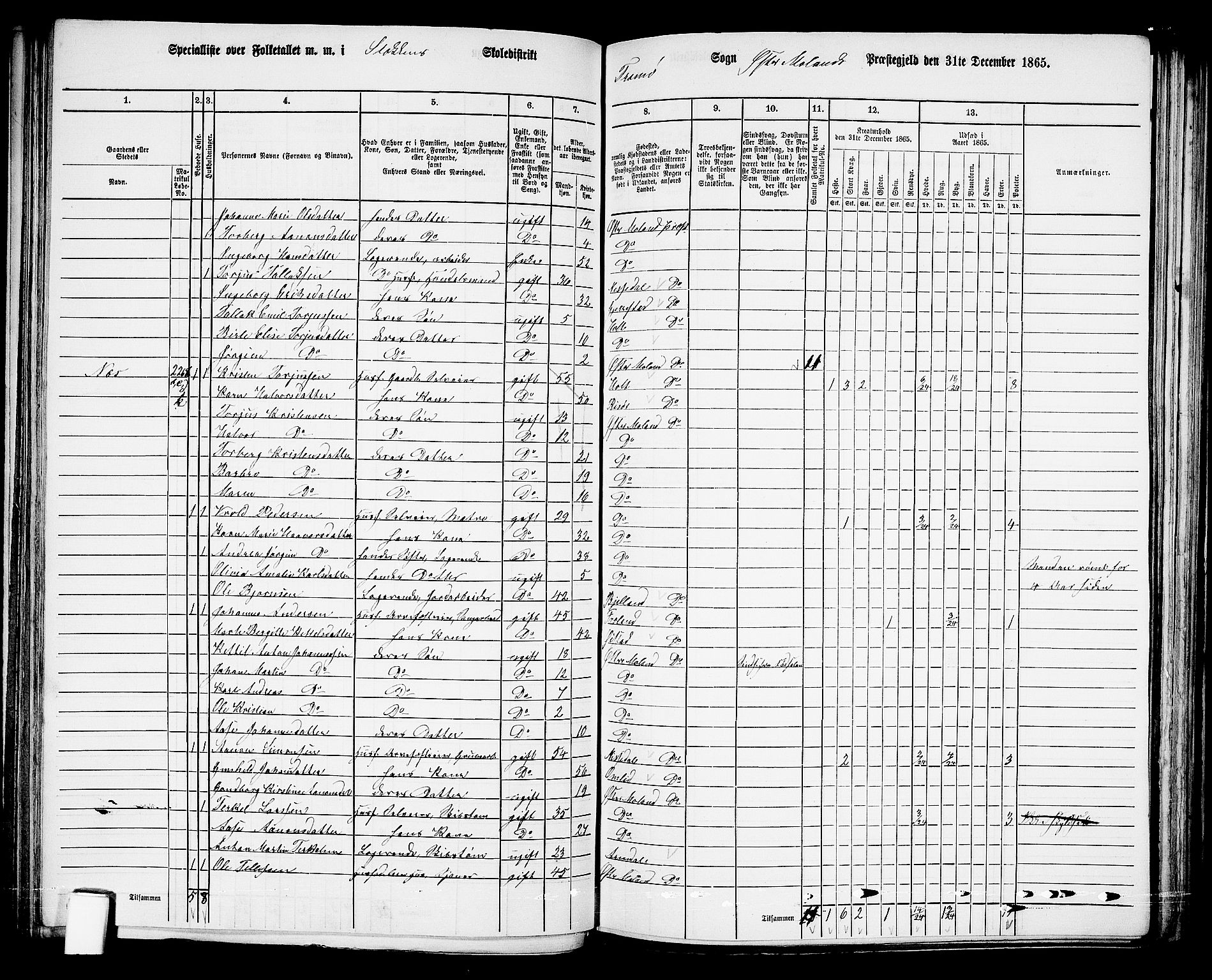 RA, Folketelling 1865 for 0918P Austre Moland prestegjeld, 1865, s. 139