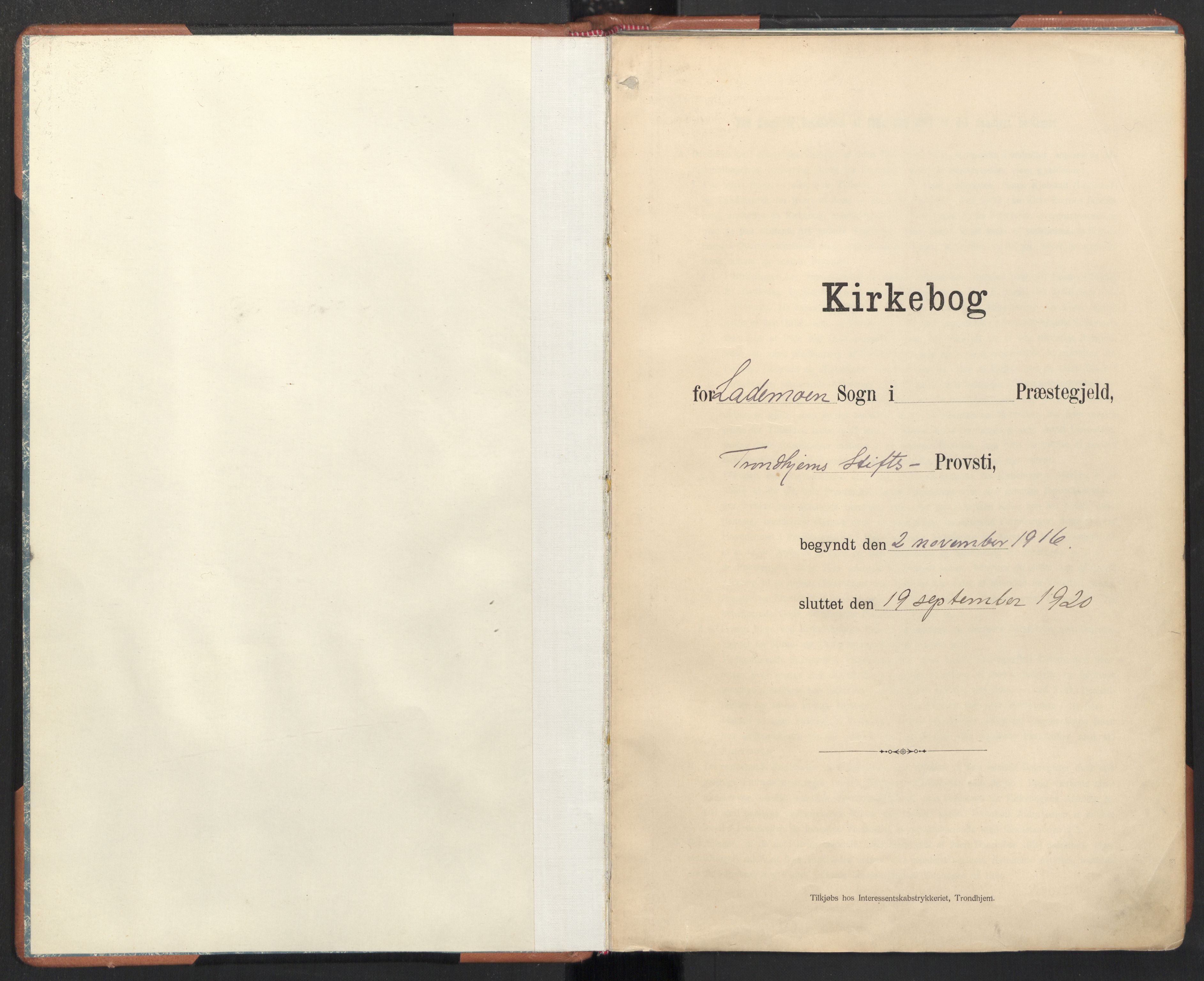 Ministerialprotokoller, klokkerbøker og fødselsregistre - Sør-Trøndelag, SAT/A-1456/605/L0246: Ministerialbok nr. 605A08, 1916-1920