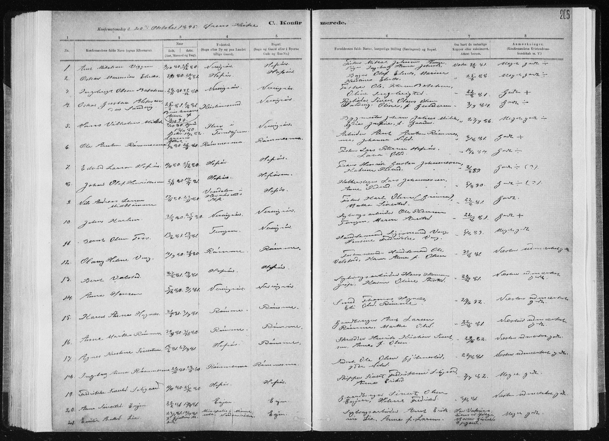 Ministerialprotokoller, klokkerbøker og fødselsregistre - Sør-Trøndelag, SAT/A-1456/668/L0818: Klokkerbok nr. 668C07, 1885-1898, s. 205