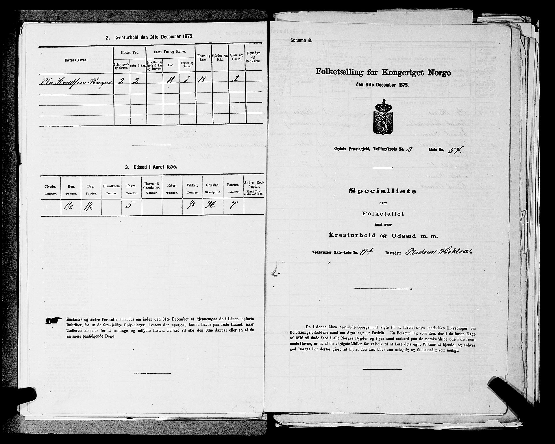 SAKO, Folketelling 1875 for 0621P Sigdal prestegjeld, 1875, s. 418