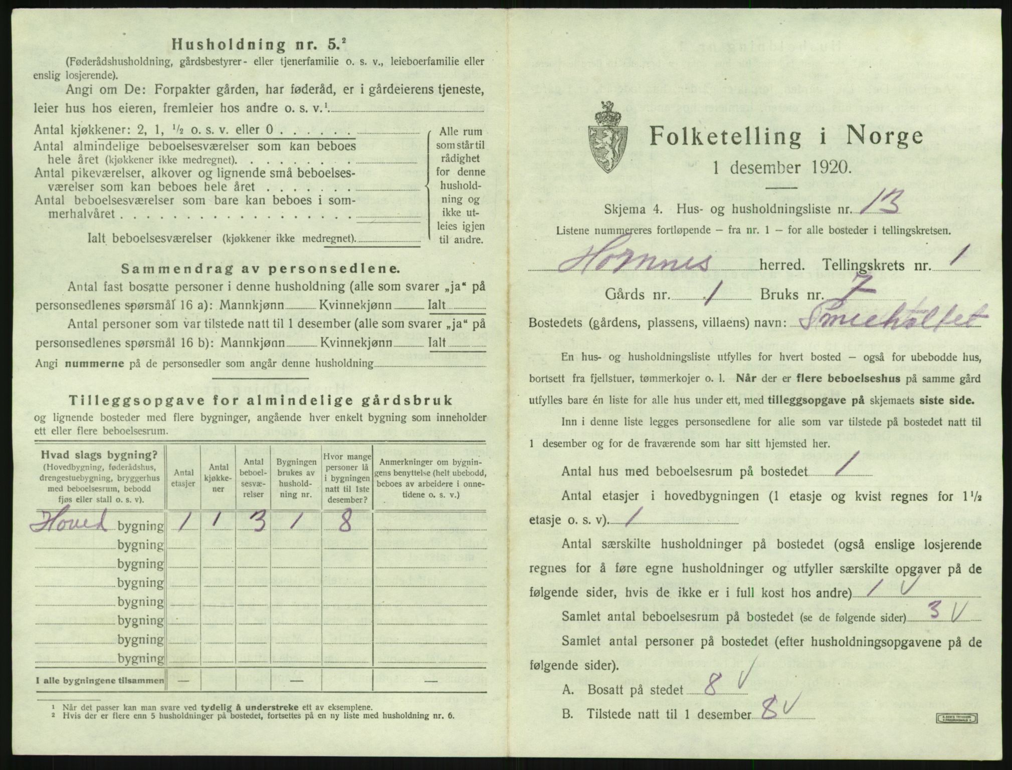 SAK, Folketelling 1920 for 0936 Hornnes herred, 1920, s. 81