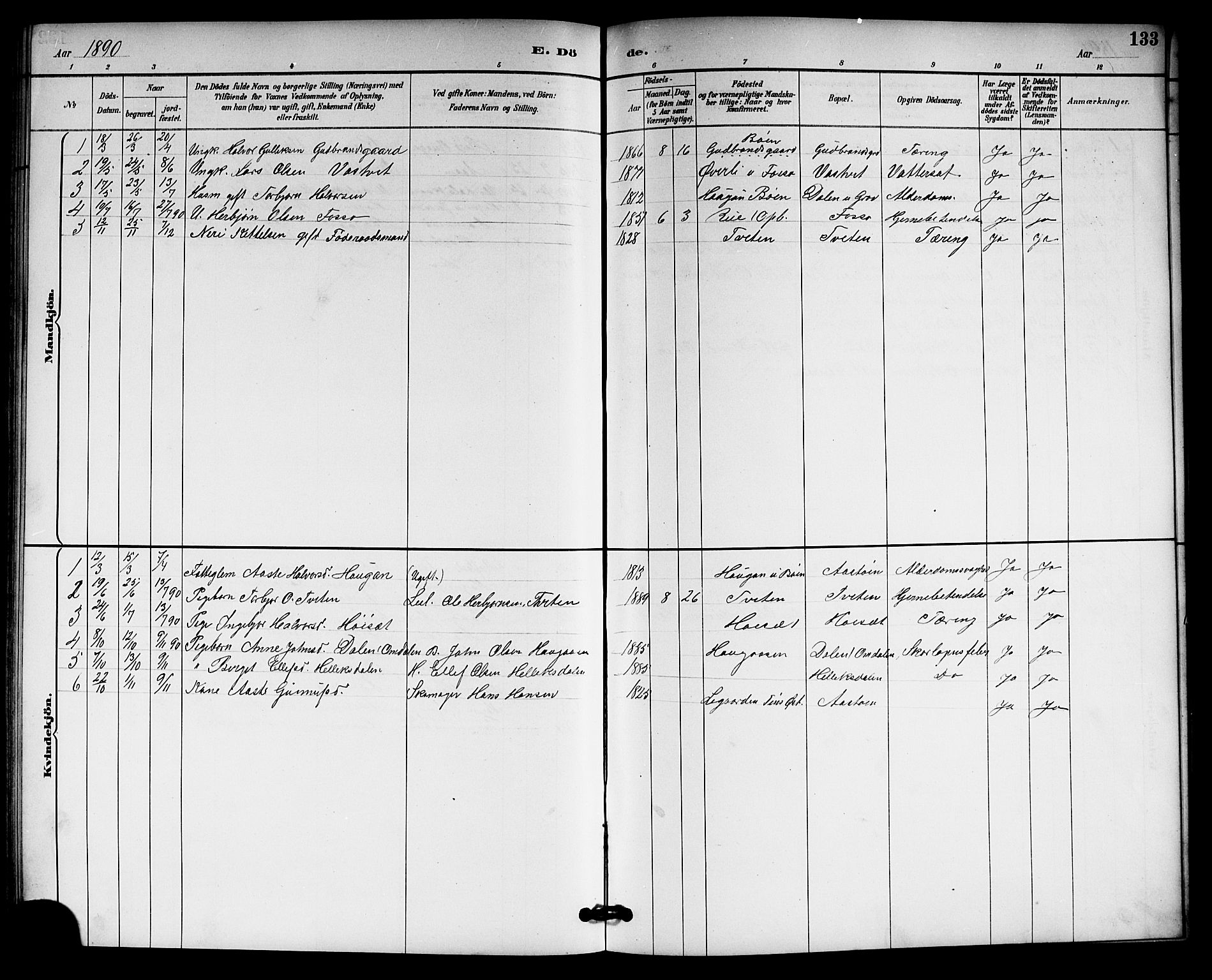 Gransherad kirkebøker, AV/SAKO-A-267/G/Gb/L0003: Klokkerbok nr. II 3, 1887-1921, s. 133