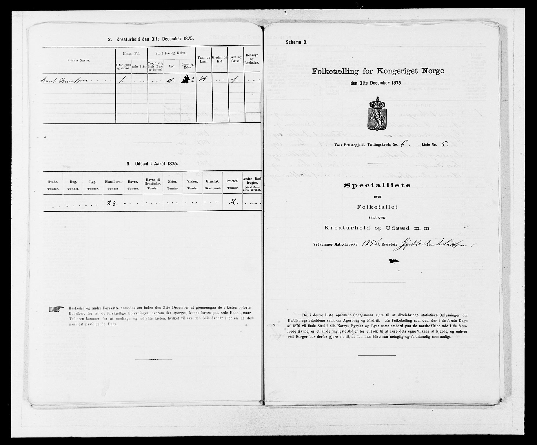 SAB, Folketelling 1875 for 1235P Voss prestegjeld, 1875, s. 2227