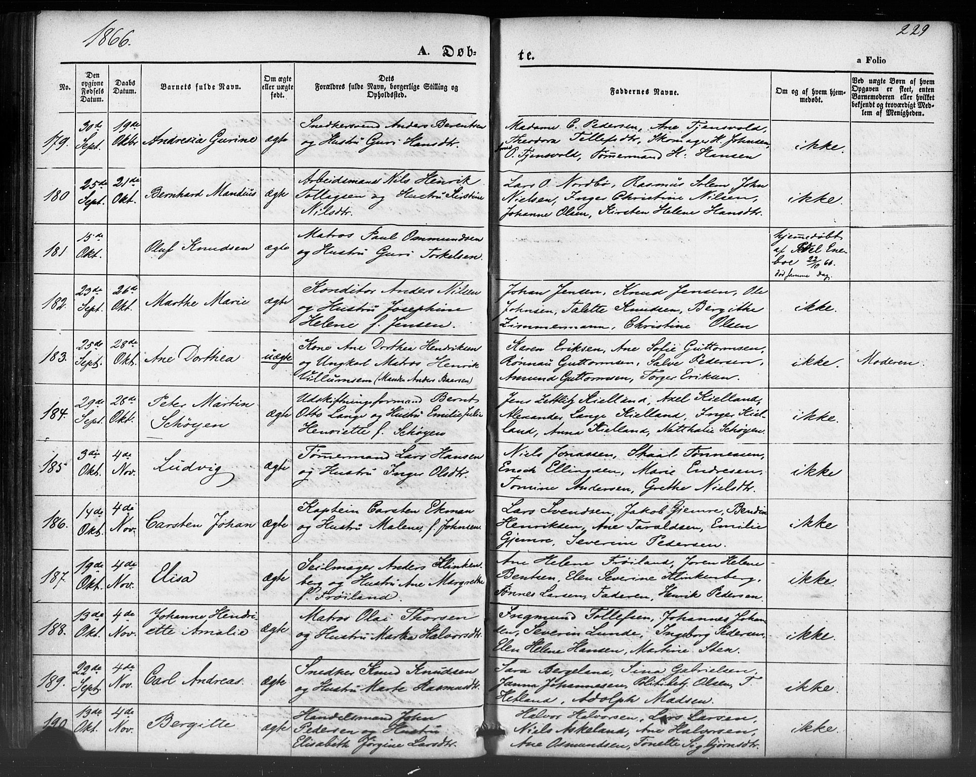 Domkirken sokneprestkontor, AV/SAST-A-101812/001/30/30BB/L0012: Klokkerbok nr. B 12, 1860-1871, s. 229