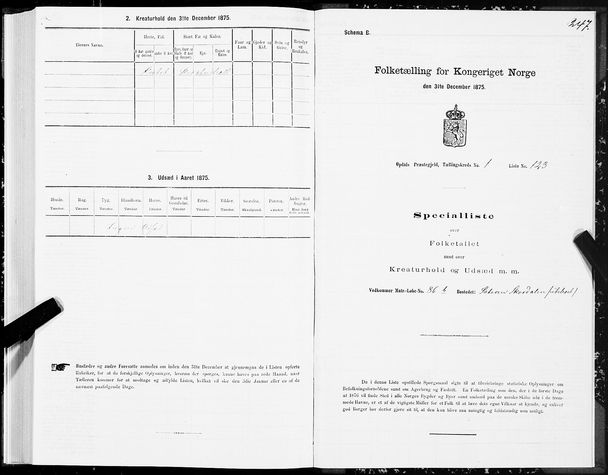 SAT, Folketelling 1875 for 1634P Oppdal prestegjeld, 1875, s. 1247