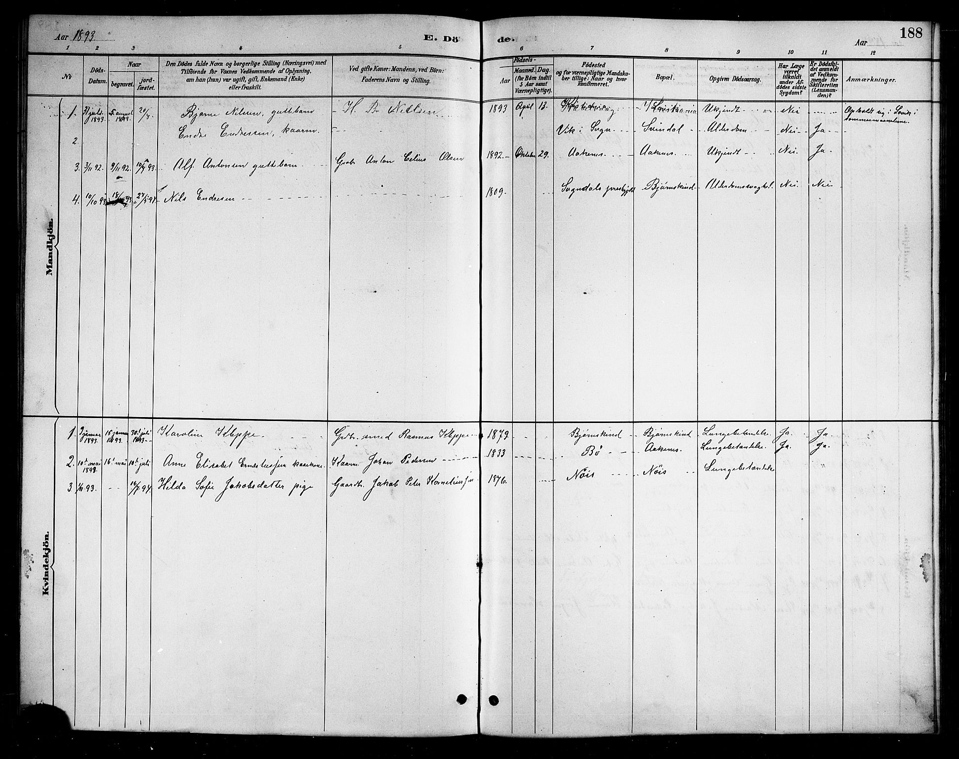 Ministerialprotokoller, klokkerbøker og fødselsregistre - Nordland, SAT/A-1459/898/L1427: Klokkerbok nr. 898C02, 1887-1917, s. 188