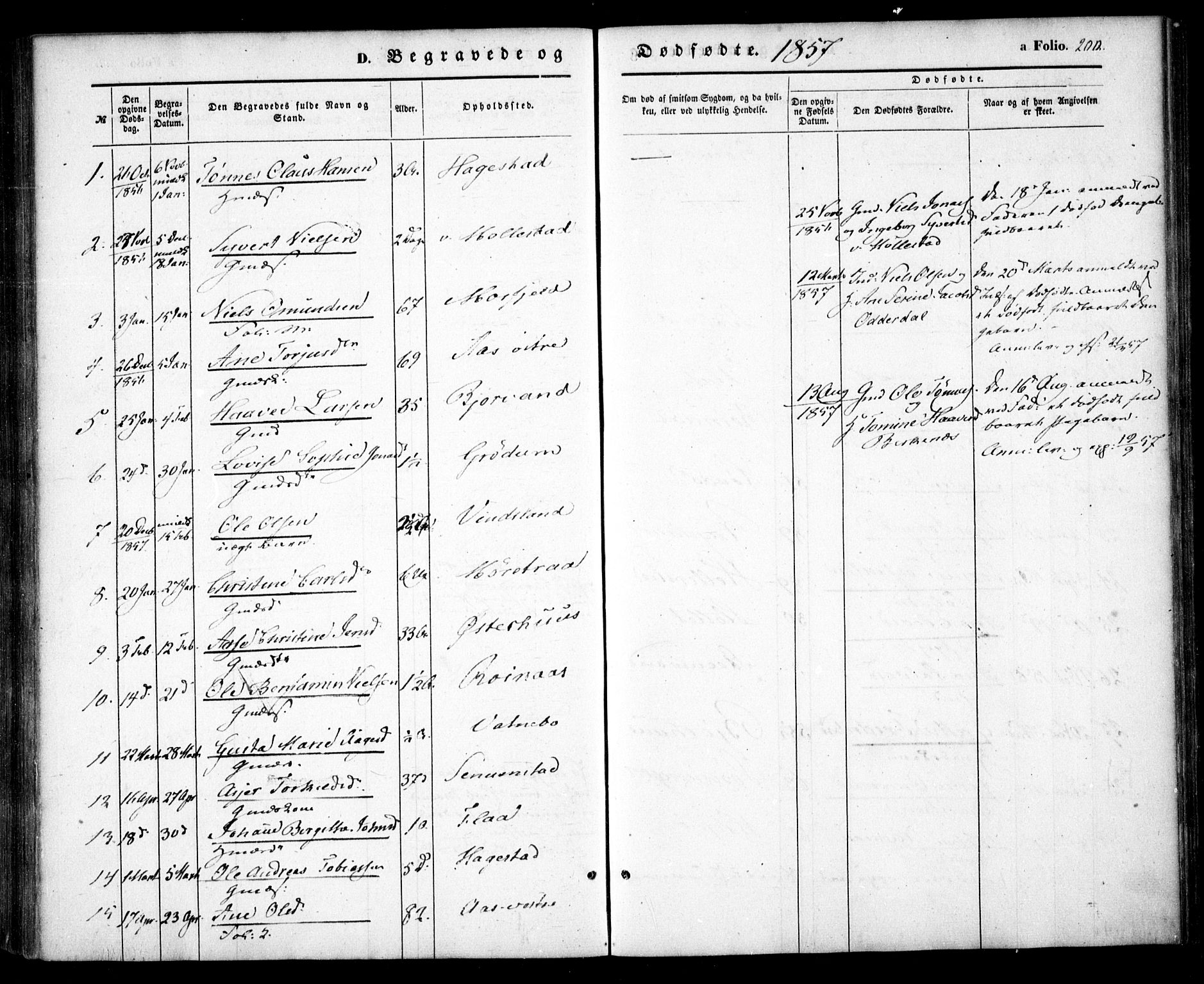 Birkenes sokneprestkontor, SAK/1111-0004/F/Fa/L0003: Ministerialbok nr. A 3, 1850-1866, s. 200