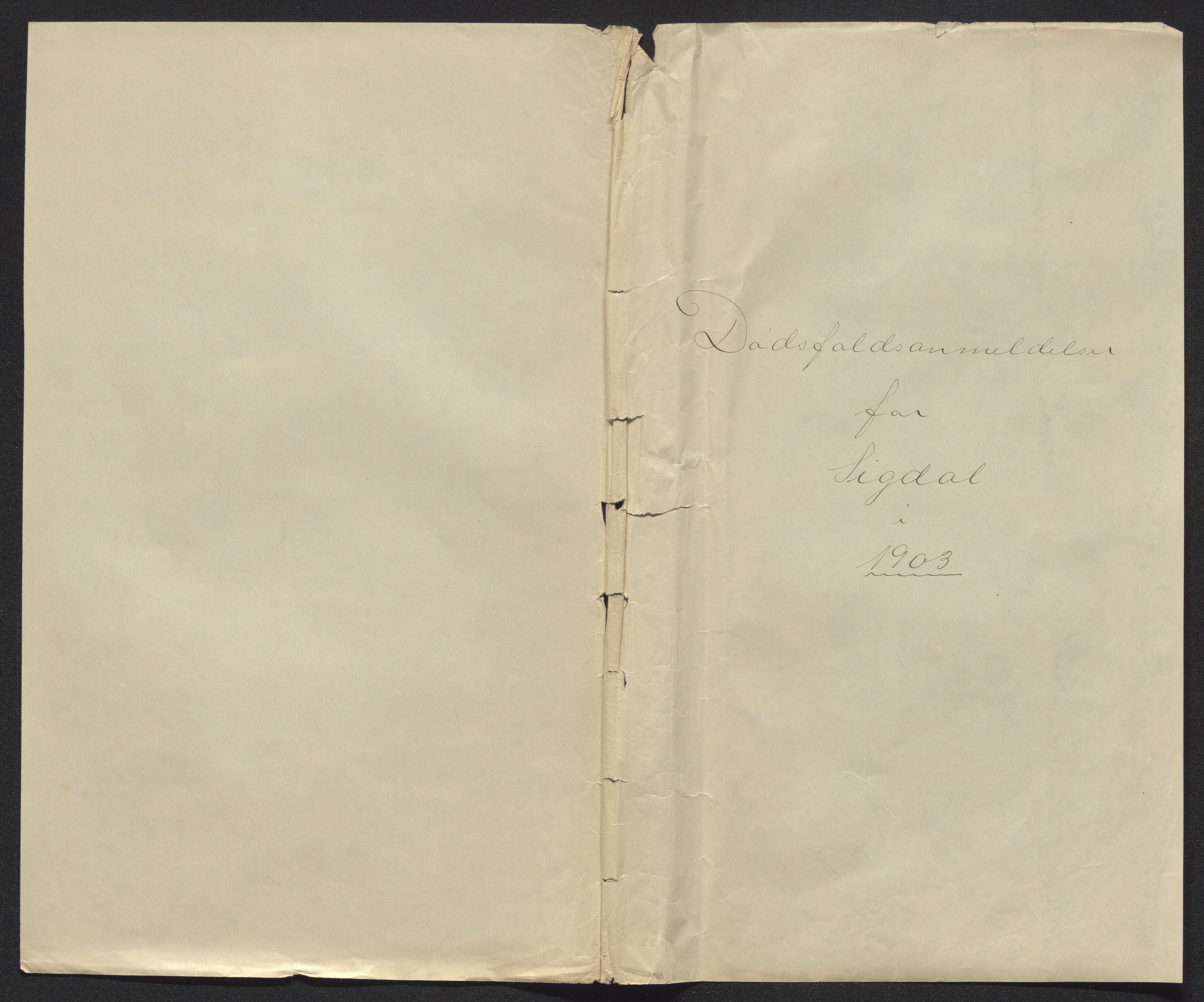 Eiker, Modum og Sigdal sorenskriveri, SAKO/A-123/H/Ha/Hab/L0030: Dødsfallsmeldinger, 1903-1905, s. 251
