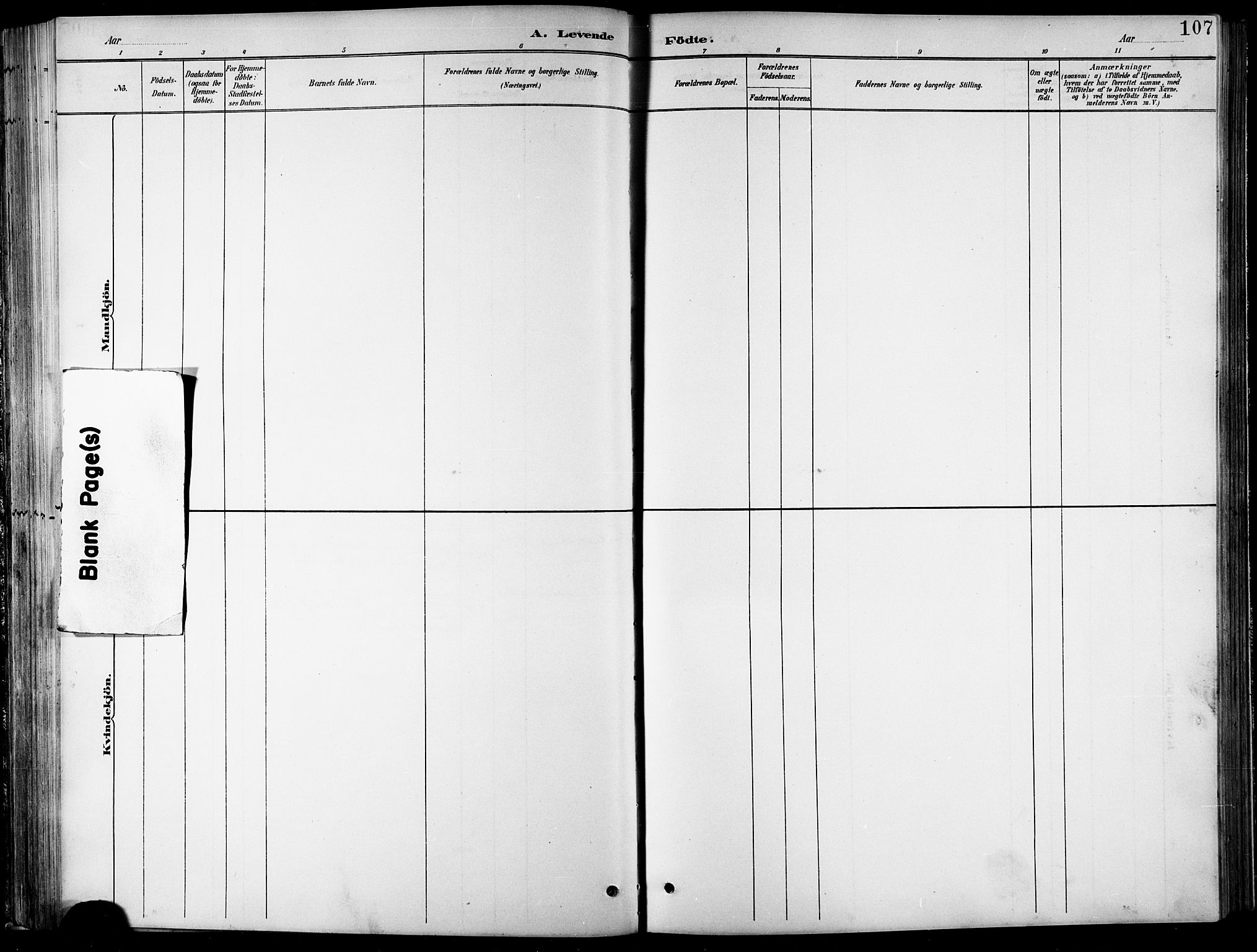 Balsfjord sokneprestembete, SATØ/S-1303/G/Ga/L0008klokker: Klokkerbok nr. 8, 1890-1906, s. 107