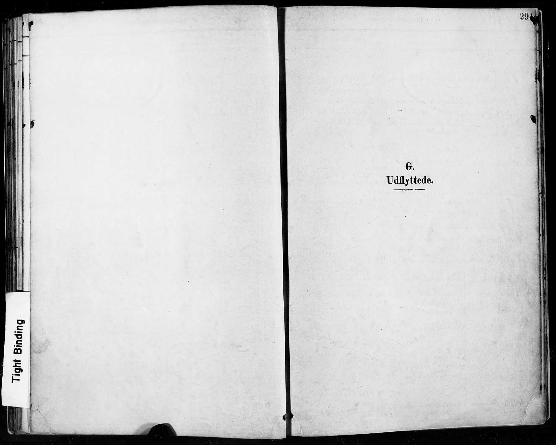 Høyland sokneprestkontor, AV/SAST-A-101799/001/30BA/L0013: Ministerialbok nr. A 13.2, 1889-1898, s. 291