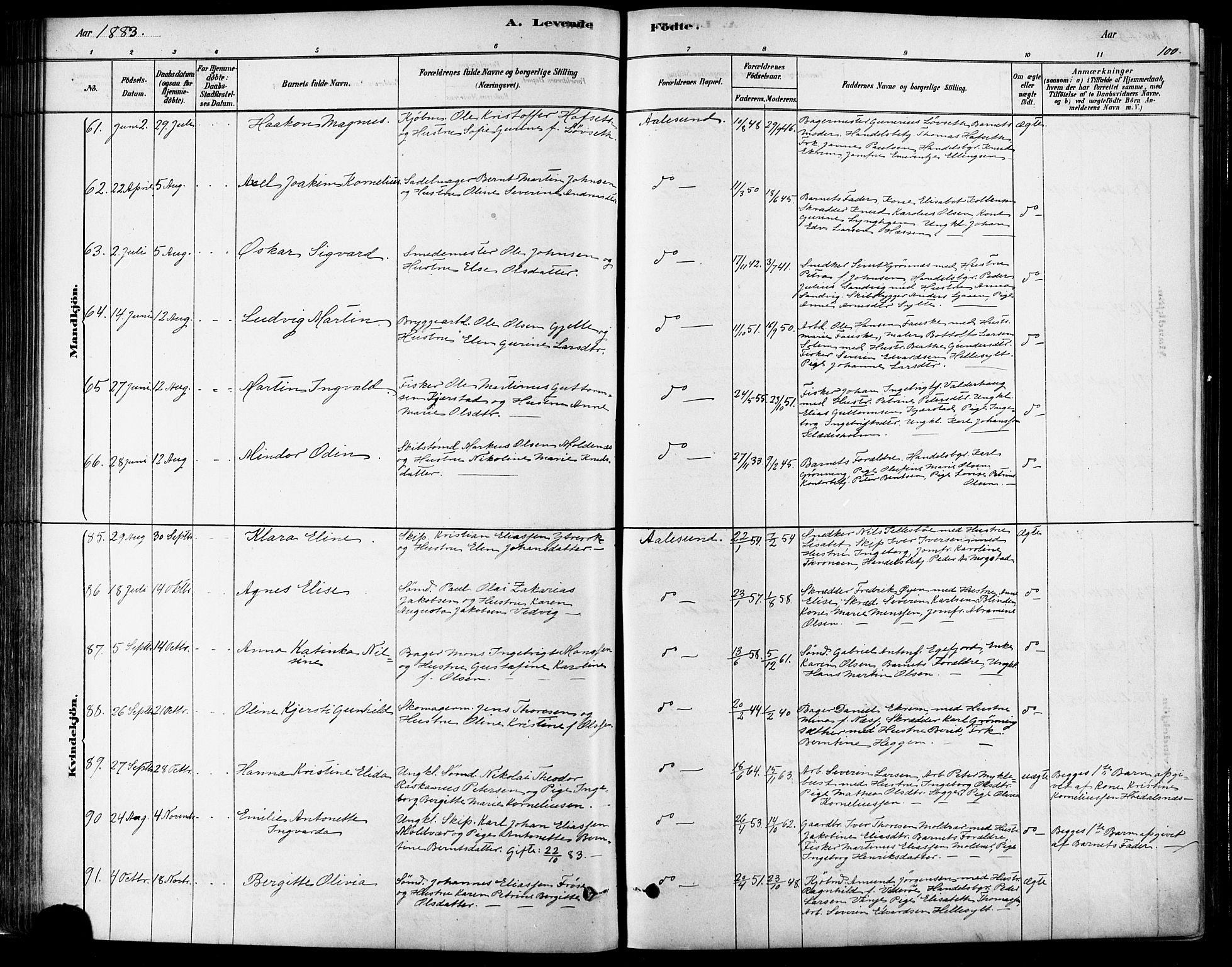 Ministerialprotokoller, klokkerbøker og fødselsregistre - Møre og Romsdal, SAT/A-1454/529/L0454: Ministerialbok nr. 529A04, 1878-1885, s. 100