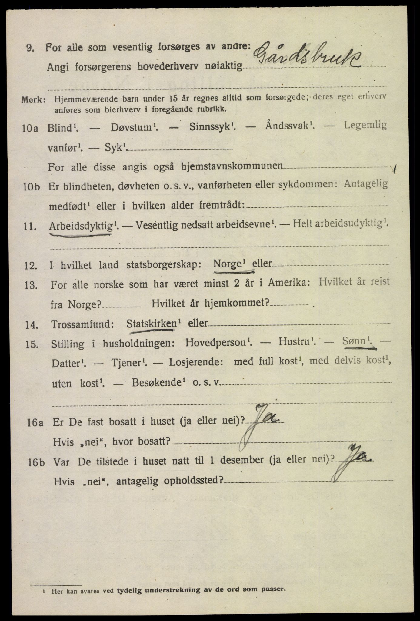 SAK, Folketelling 1920 for 1029 Sør-Audnedal herred, 1920, s. 4294