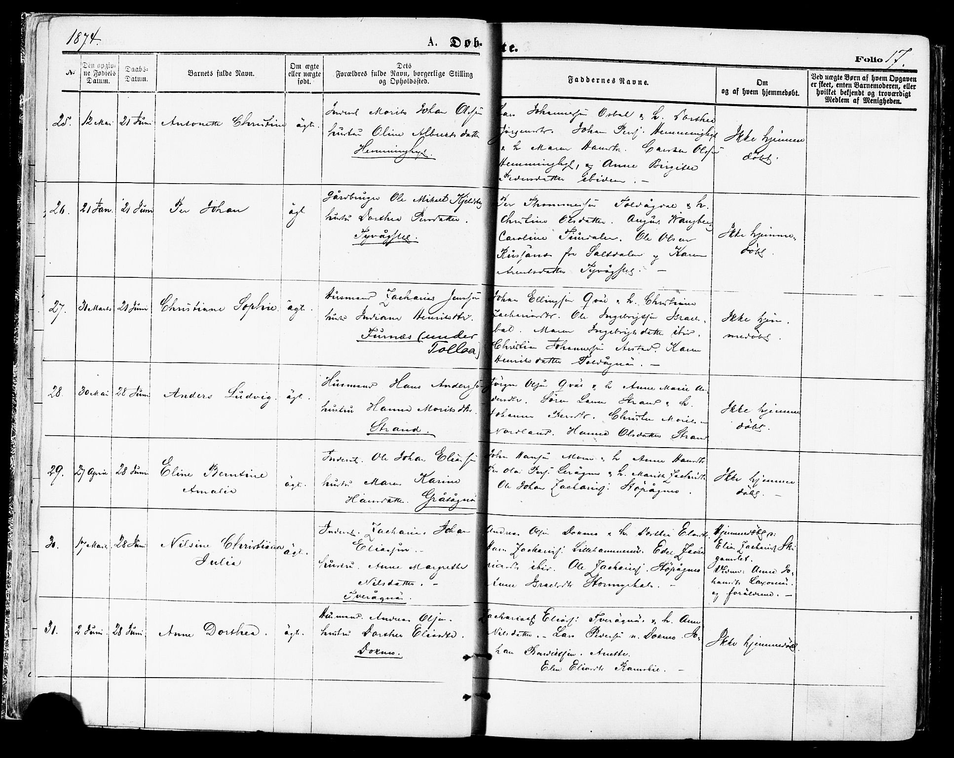 Ministerialprotokoller, klokkerbøker og fødselsregistre - Nordland, AV/SAT-A-1459/846/L0645: Ministerialbok nr. 846A03, 1872-1886, s. 17